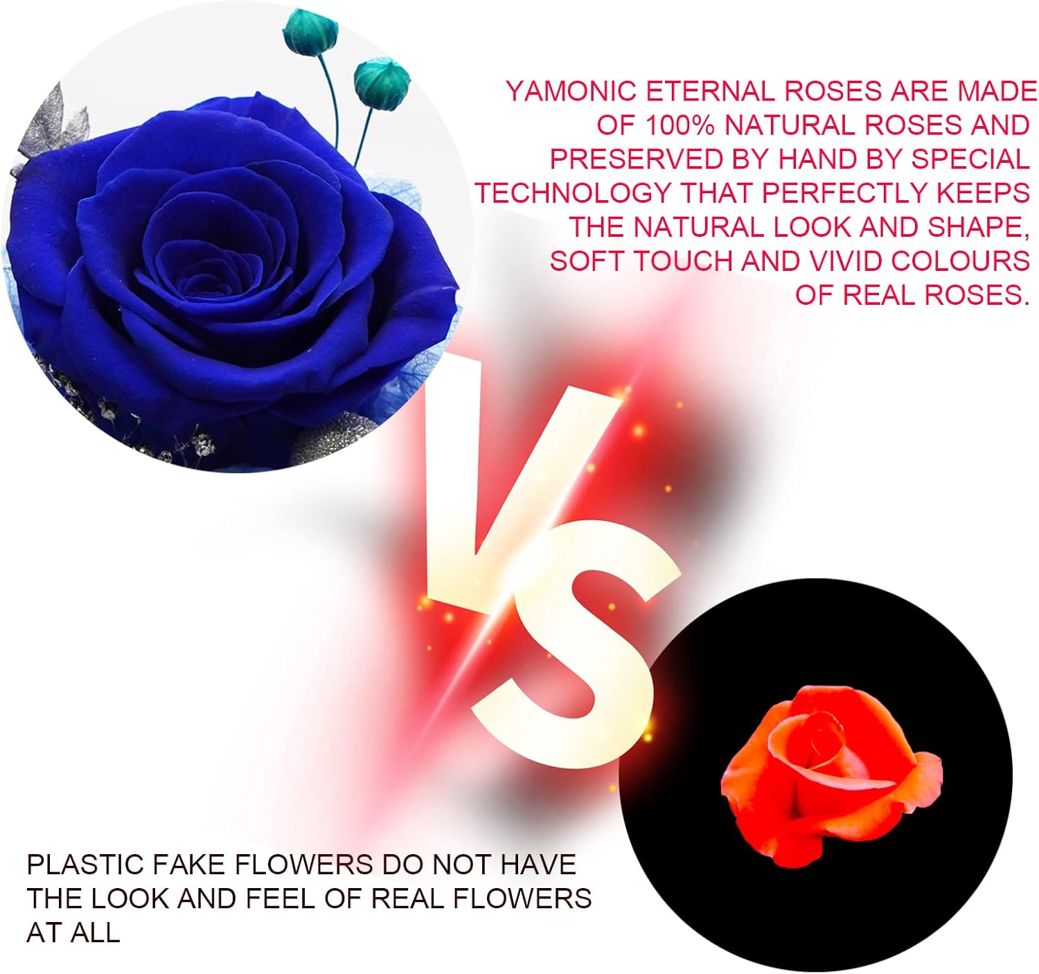 Yamonic Rosa Stabilizzata Vera in Angel Cupola - immagine 3