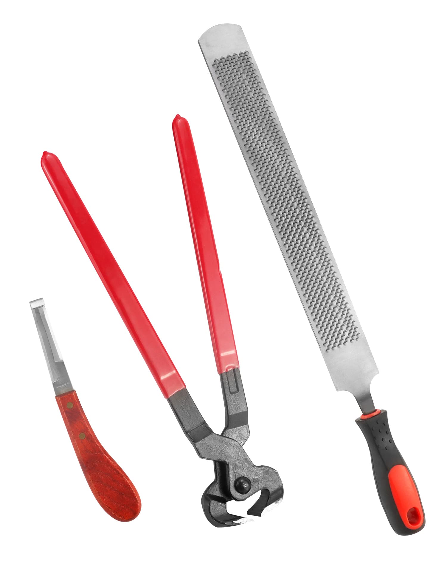 QWORK® Kit 3 Strumenti Professionali Taglia Zoccoli