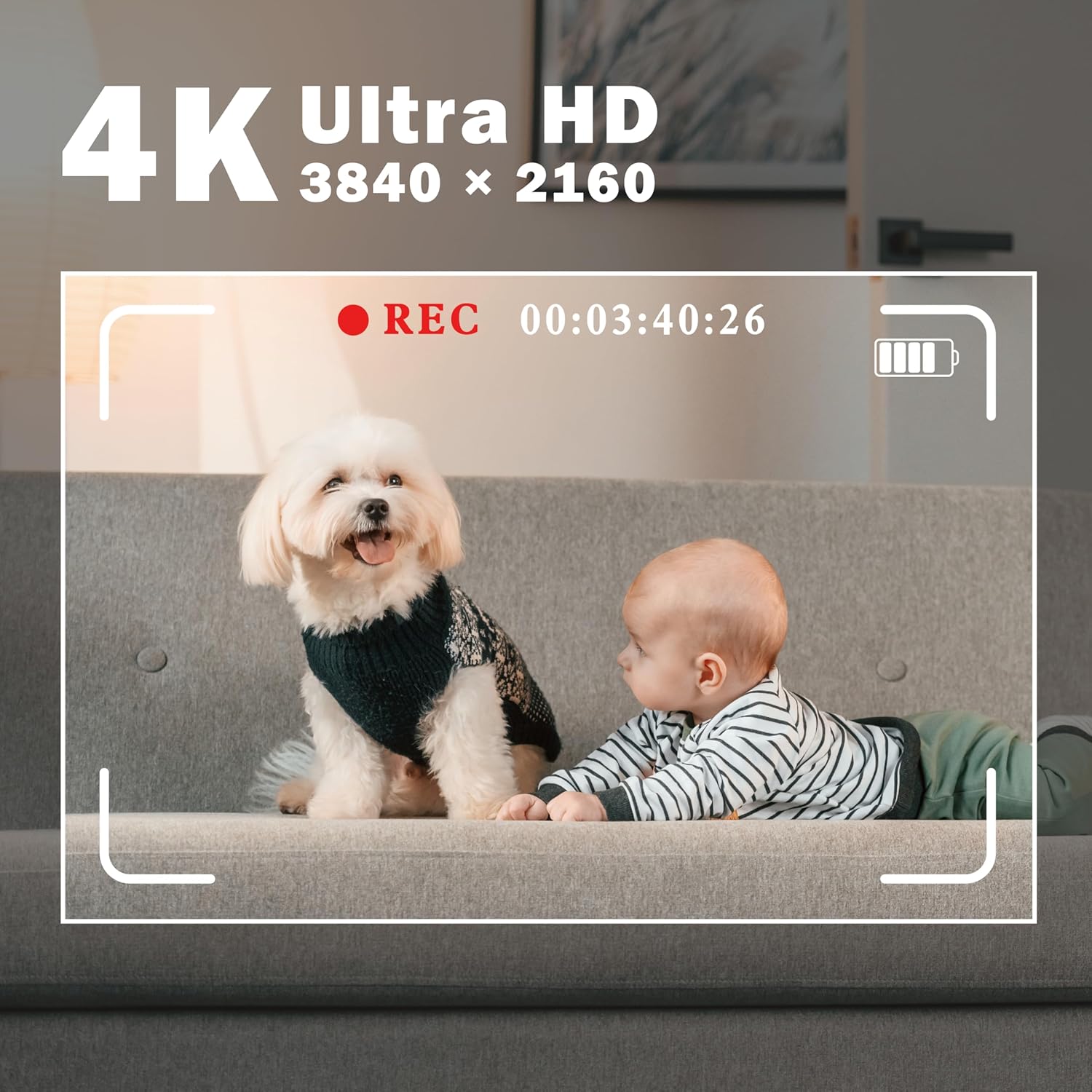 Linkmore Scheda MicroSDXC 64GB (5 pezzi) XV13 - immagine 7