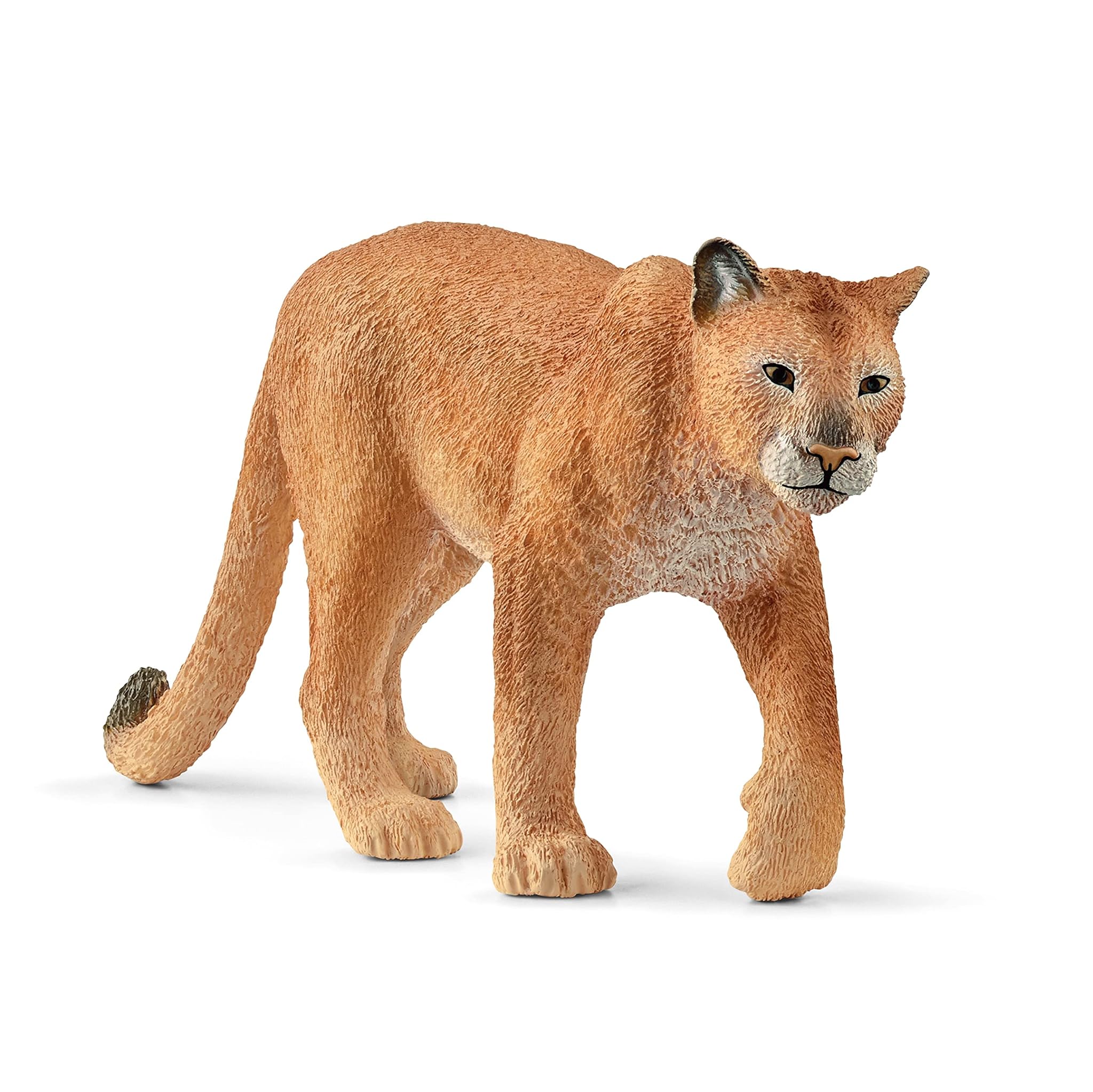 schleich 14853 Puma, dai 3 anni in su, Wild Life – Personaggio giocattolo, 12 x 2 x 5 cm, marrone