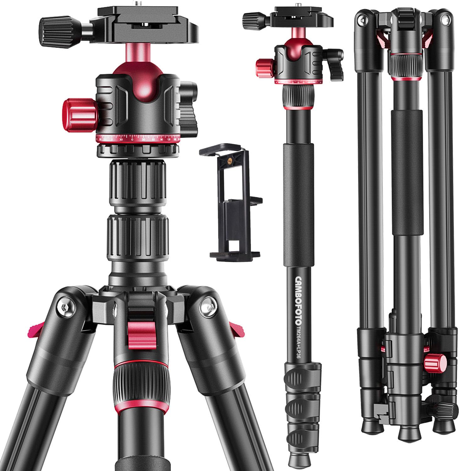 Cambofoto Treppiede Professionale per Fotocamera 173cm