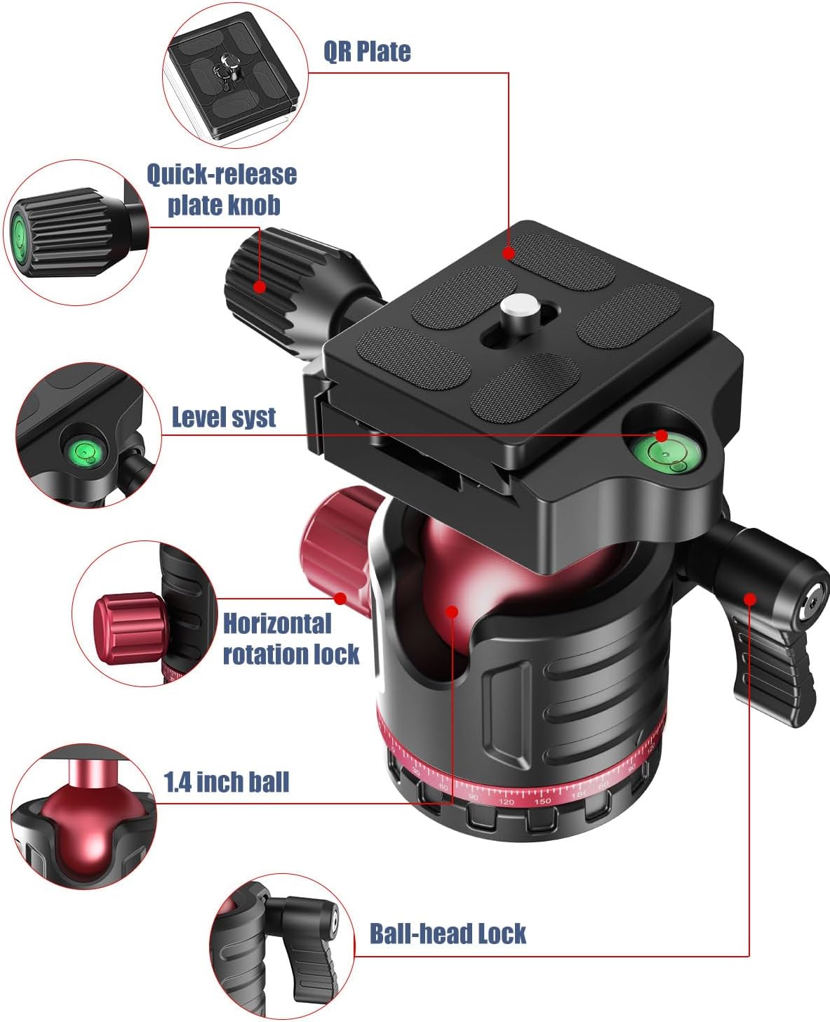 Cambofoto Treppiede Professionale per Fotocamera 173cm - immagine 3