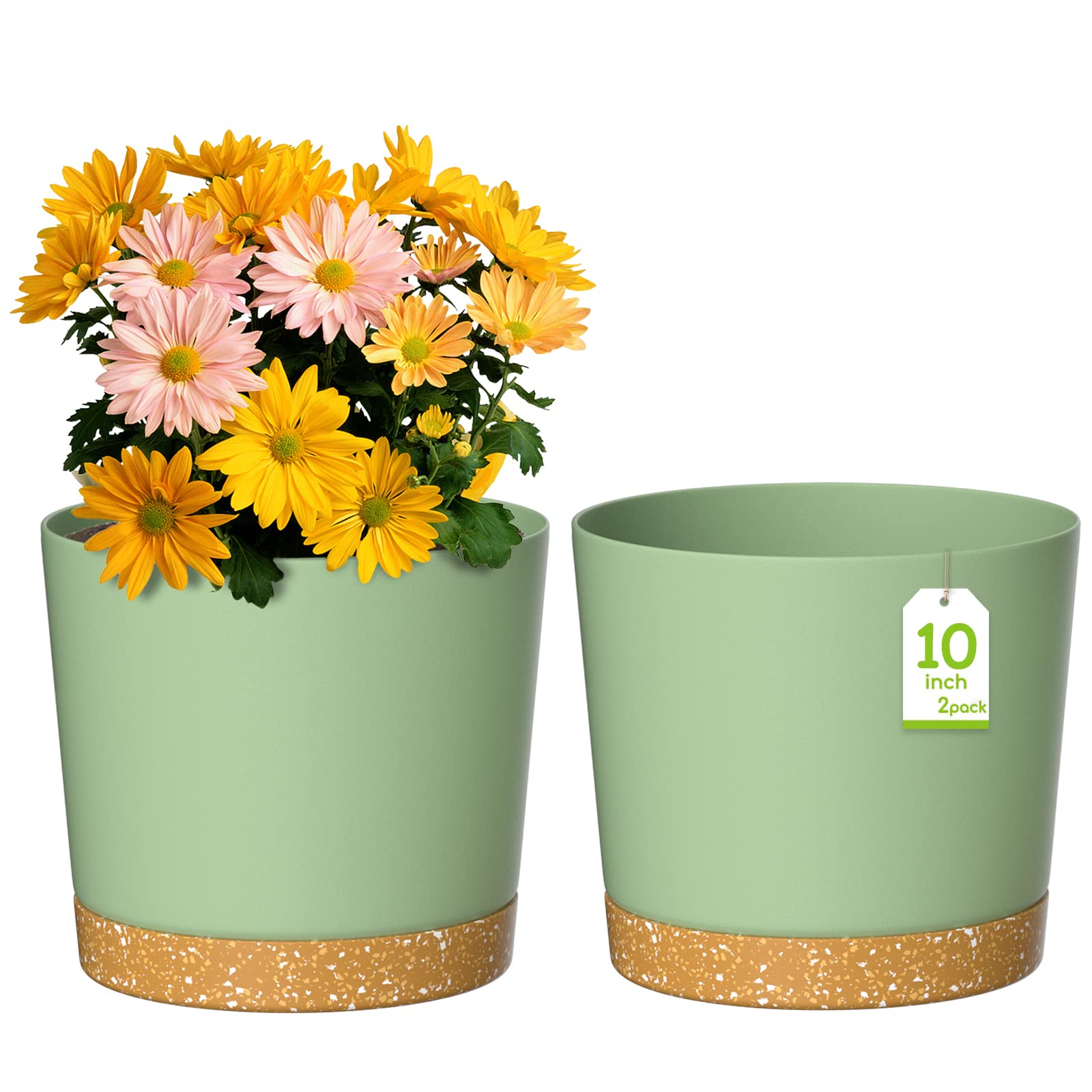 ZMTECH Vaso per Piante 25 cm con Drenaggio