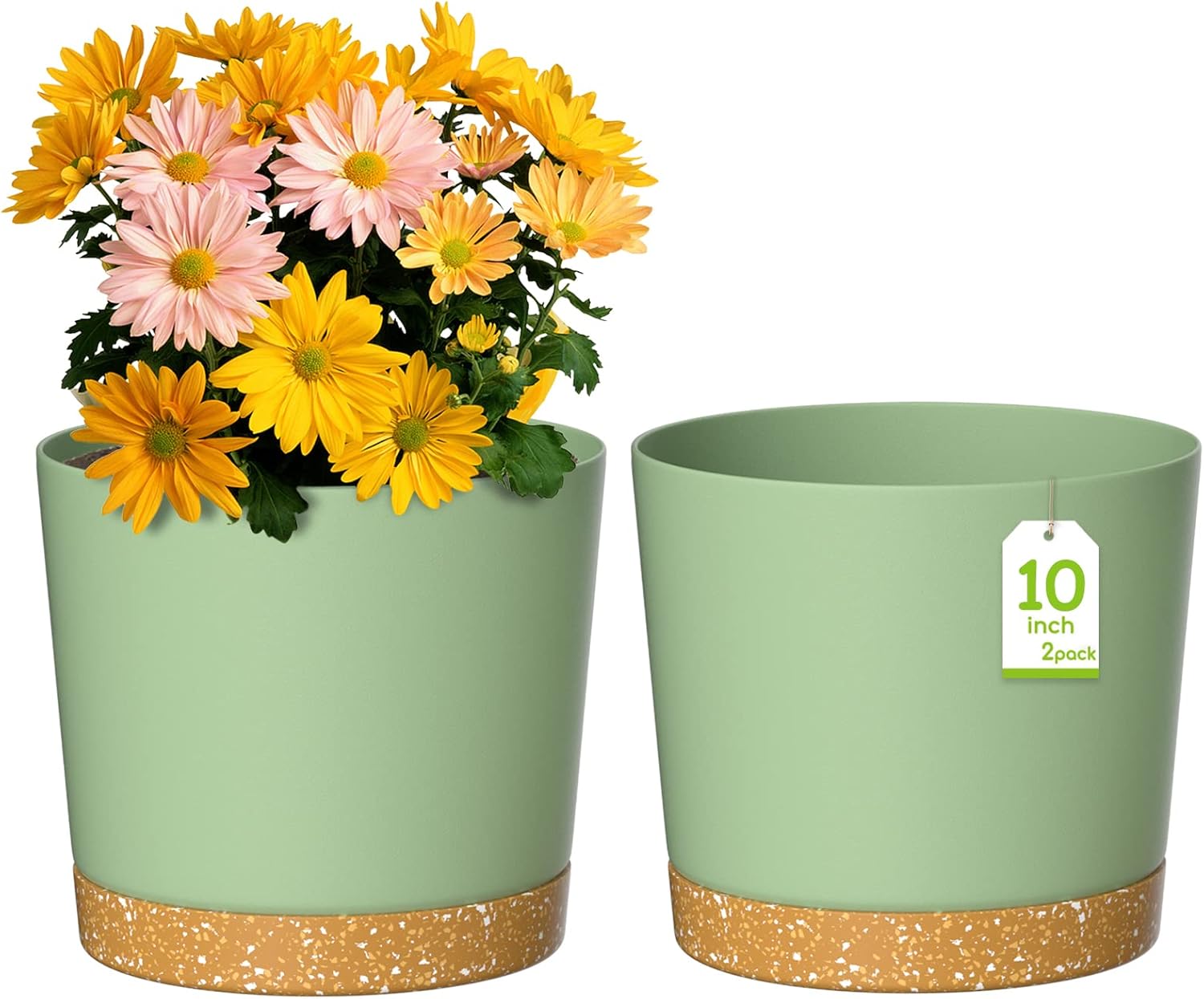 ZMTECH Vaso per Piante 25 cm con Drenaggio - immagine 1