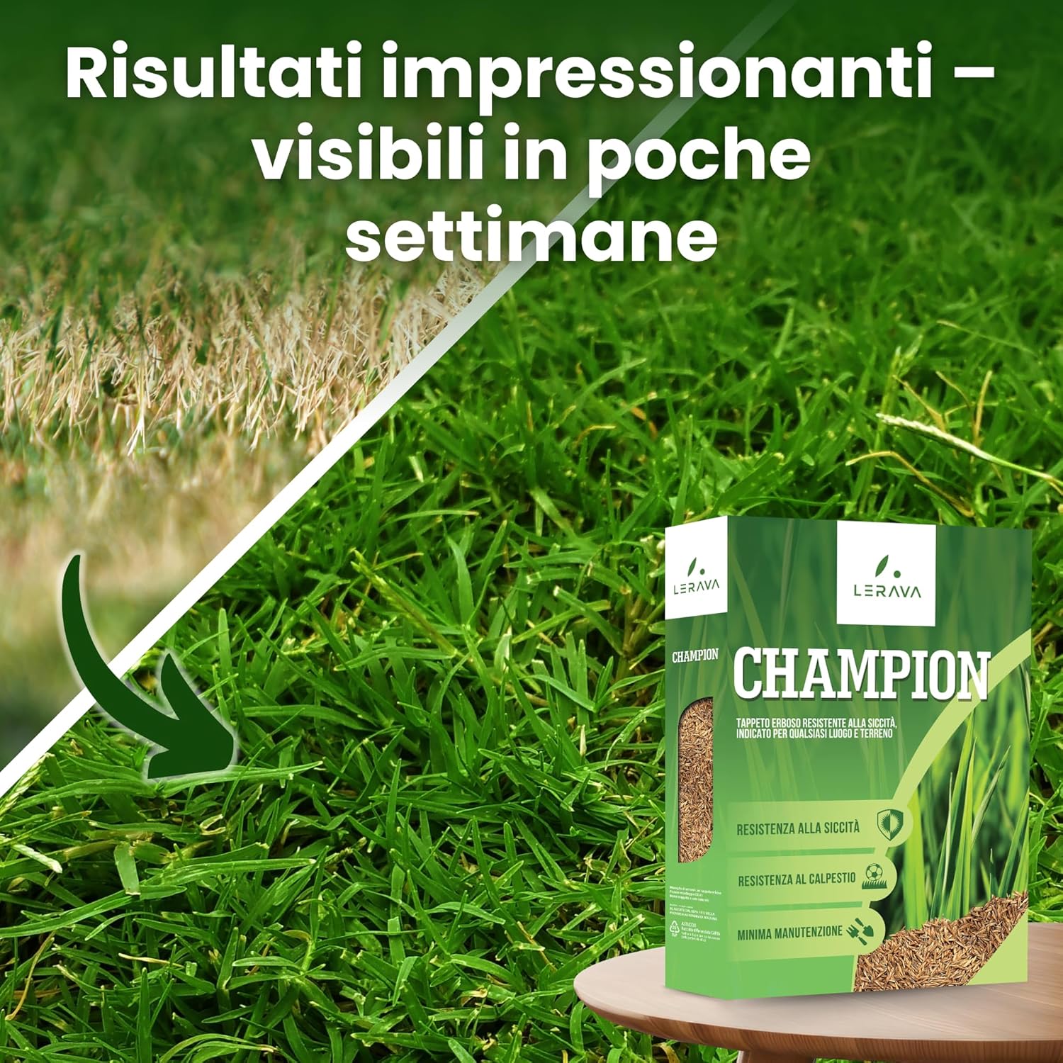 Lerava® CHAMPION - Semi Prato Resistente 10m² - immagine 3