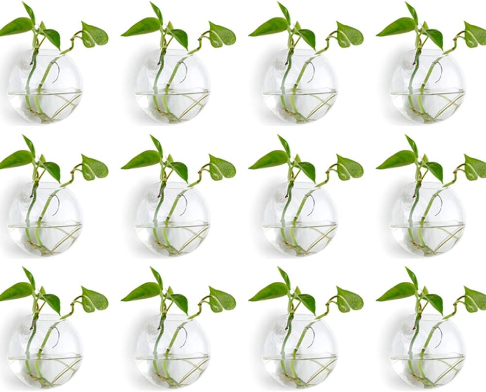 12 Fioriere in Vetro Appese a Parete Diametro 10cm