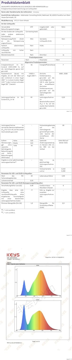 Schindora Verde Lampadario 6 Luci Legno e Ferro - immagine 8