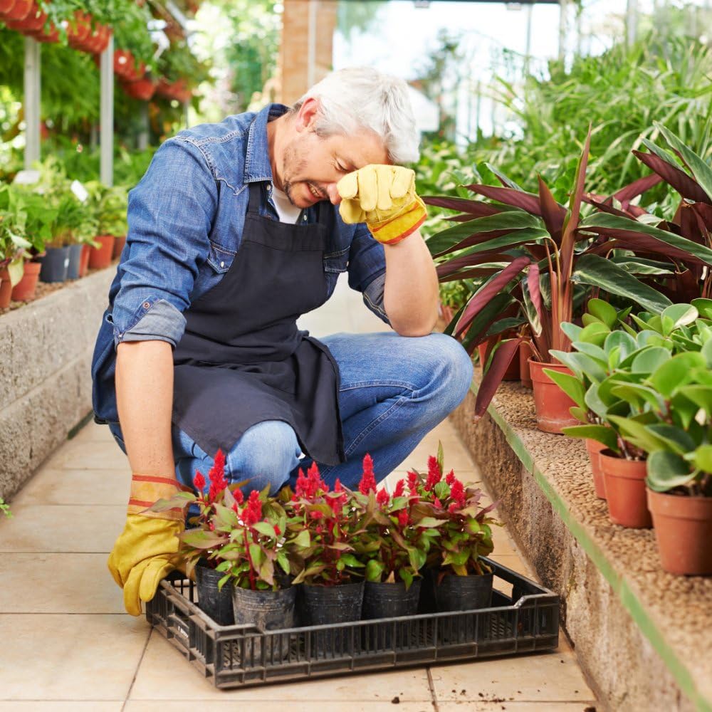 Trotec Igrometro BC25 - Misuratore Umidità e Termometro - immagine 5