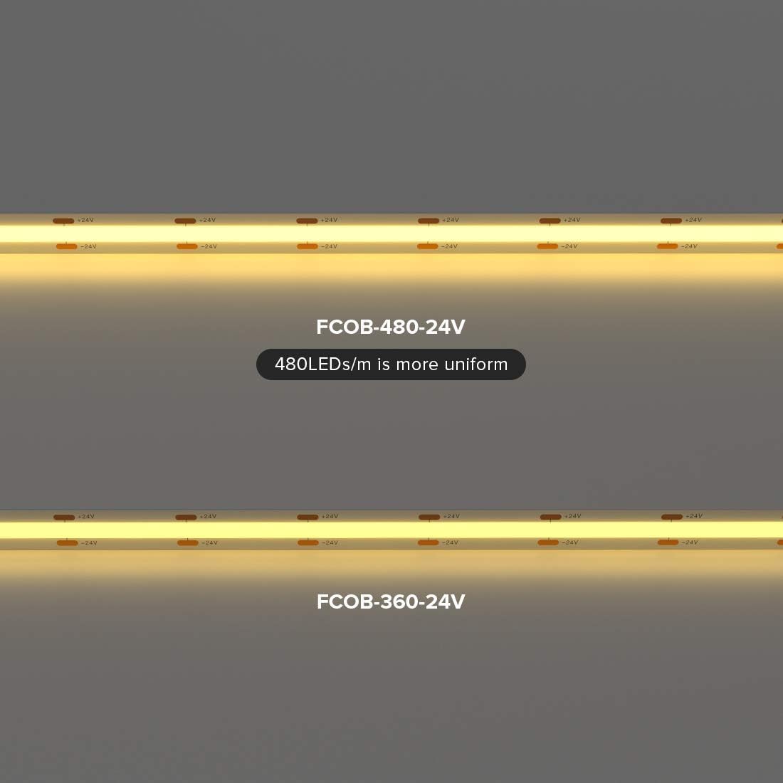 Btf-lighting FCOB COB 24V Kit Strisce LED 5m - immagine 3