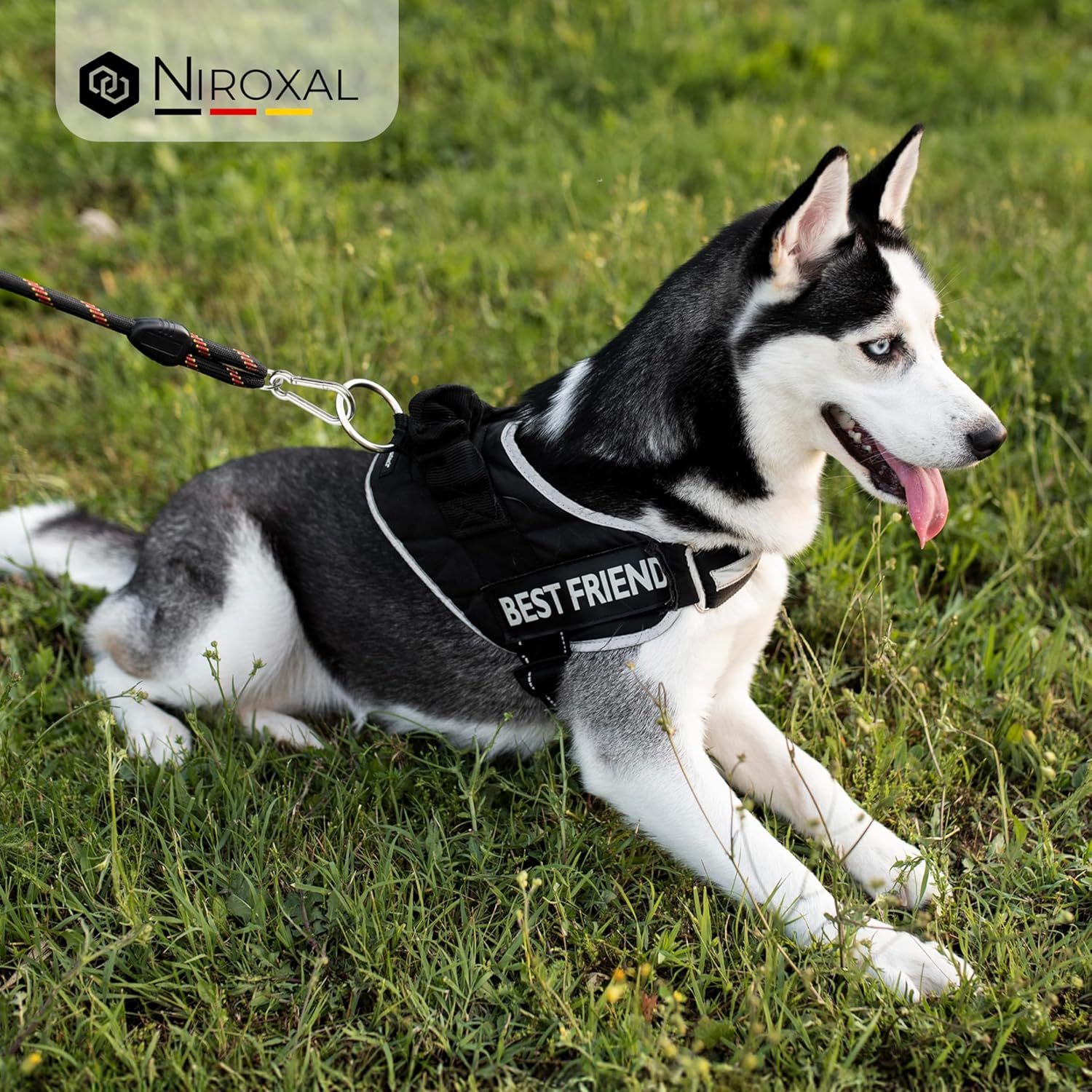 Moschettone Acciaio Inox V4A 8x80mm, 50 pezzi - immagine 7