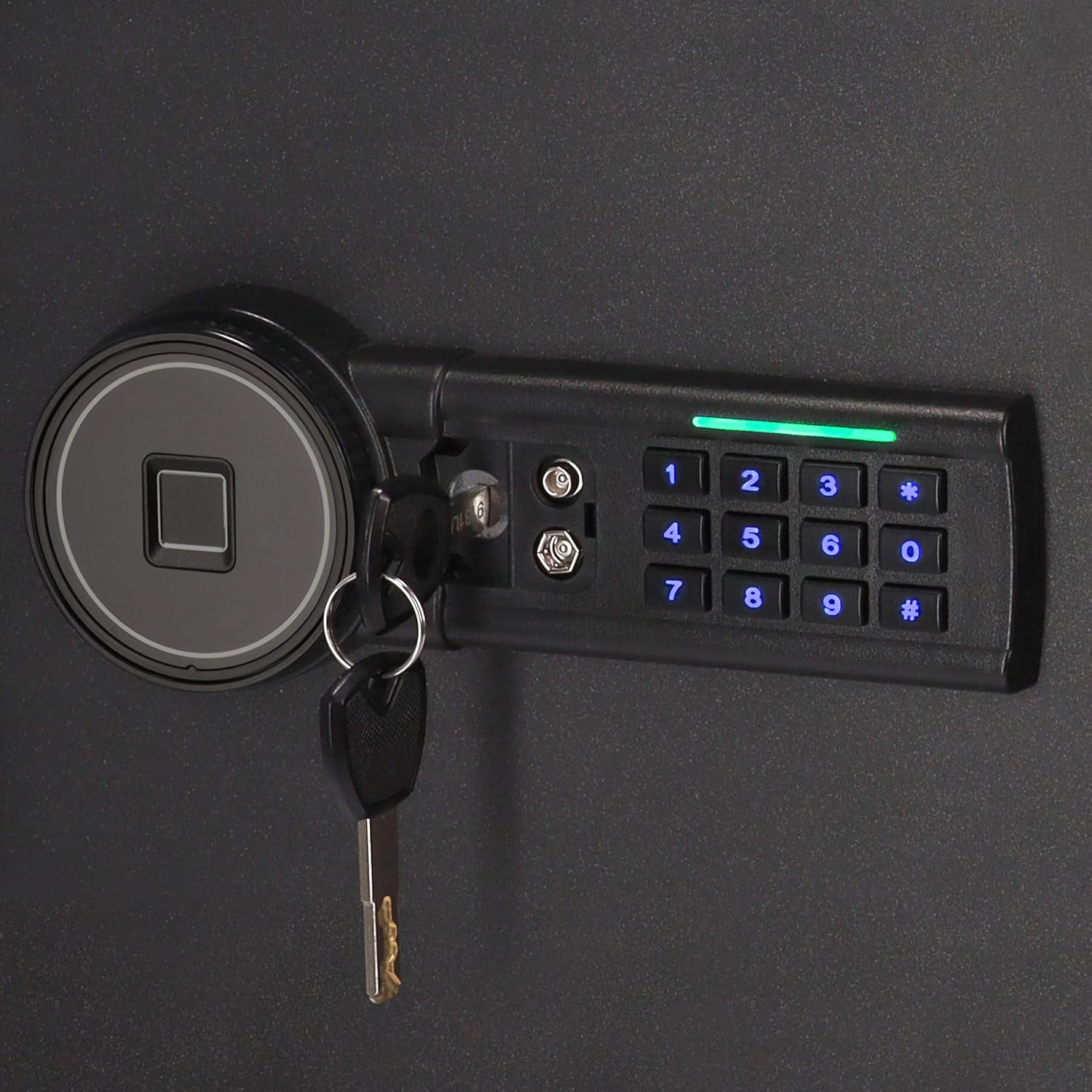 Family Cassaforte 20L con Impronta Digitale - immagine 5