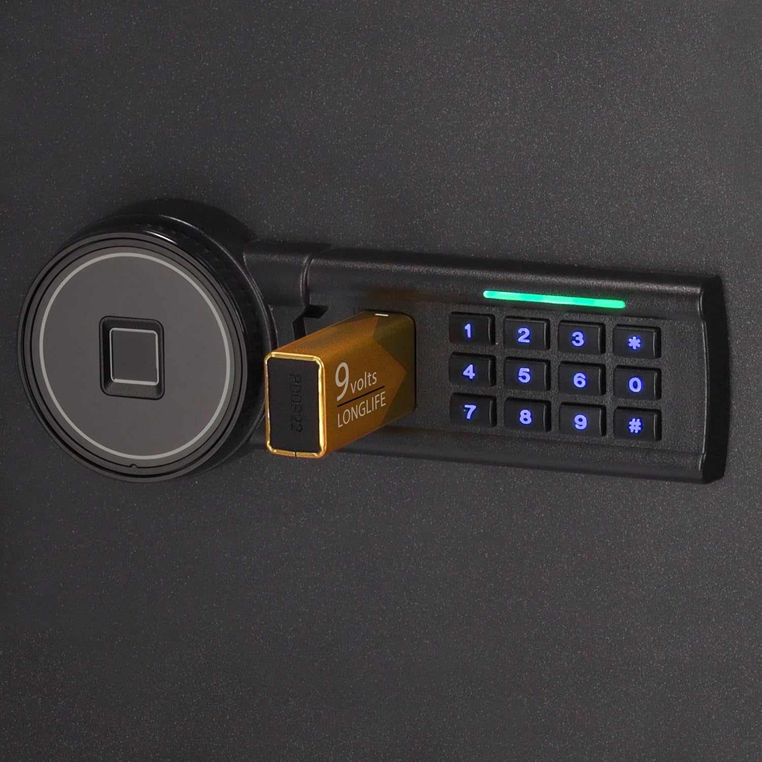 Family Cassaforte 20L con Impronta Digitale - immagine 6