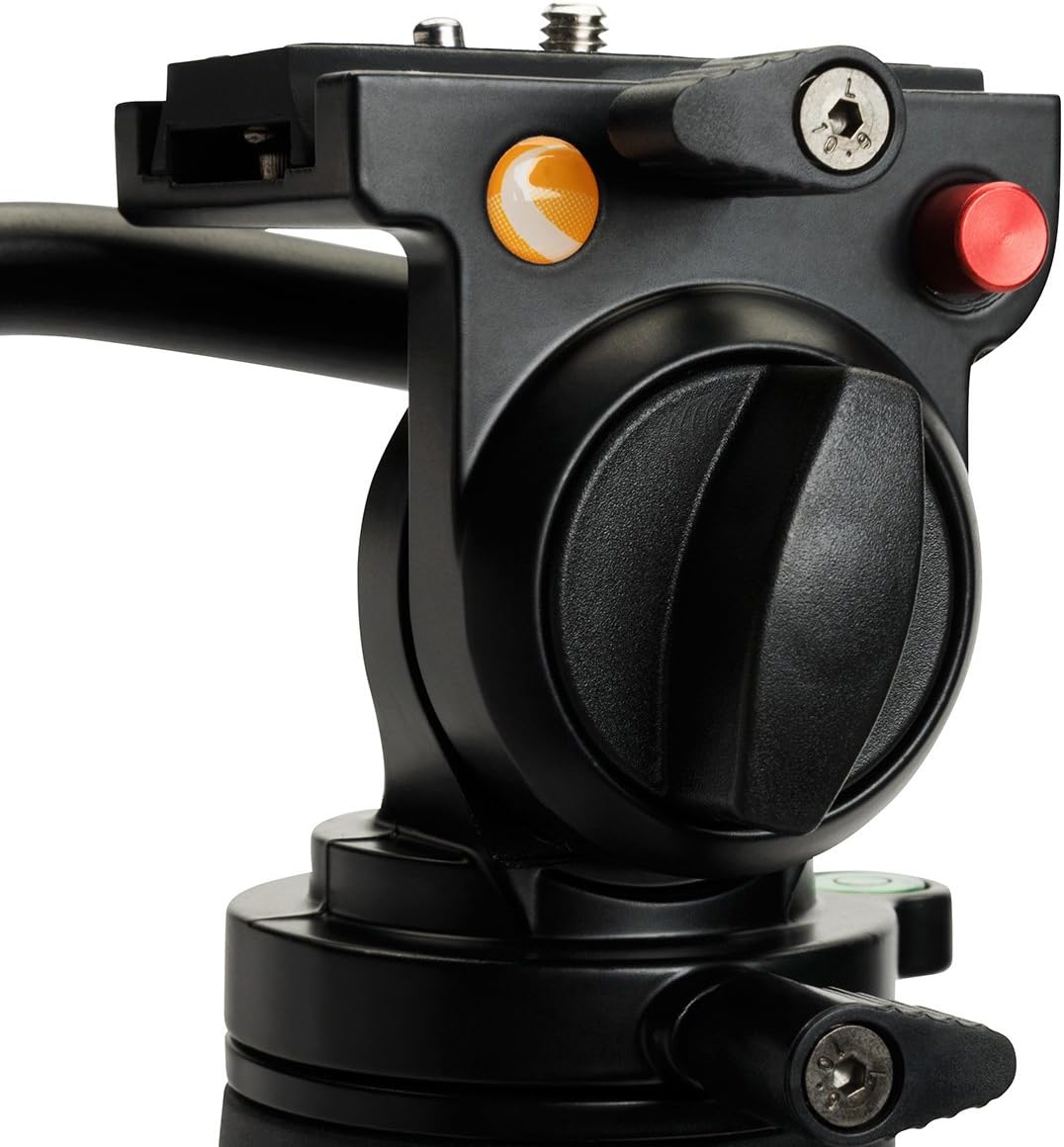 Celestron 82052 Regal Premium Treppiede, Nero - immagine 7