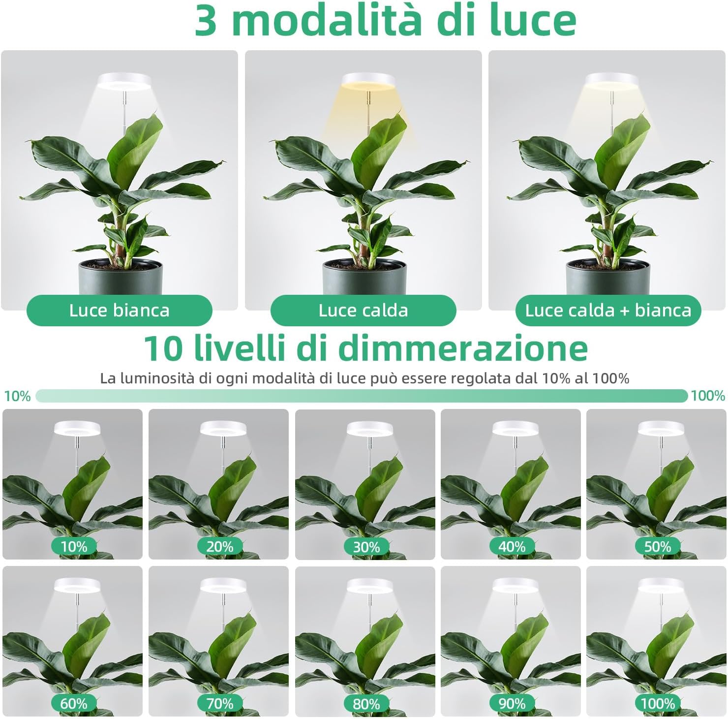 Mcbazel Lampada per Piante da Interno Spettro Completo - immagine 3