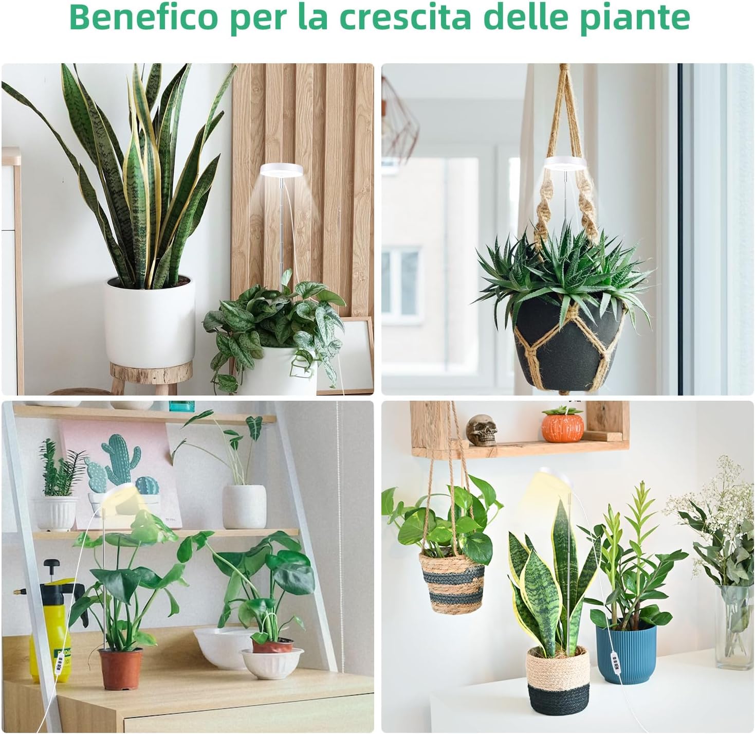 Mcbazel Lampada per Piante da Interno Spettro Completo - immagine 7