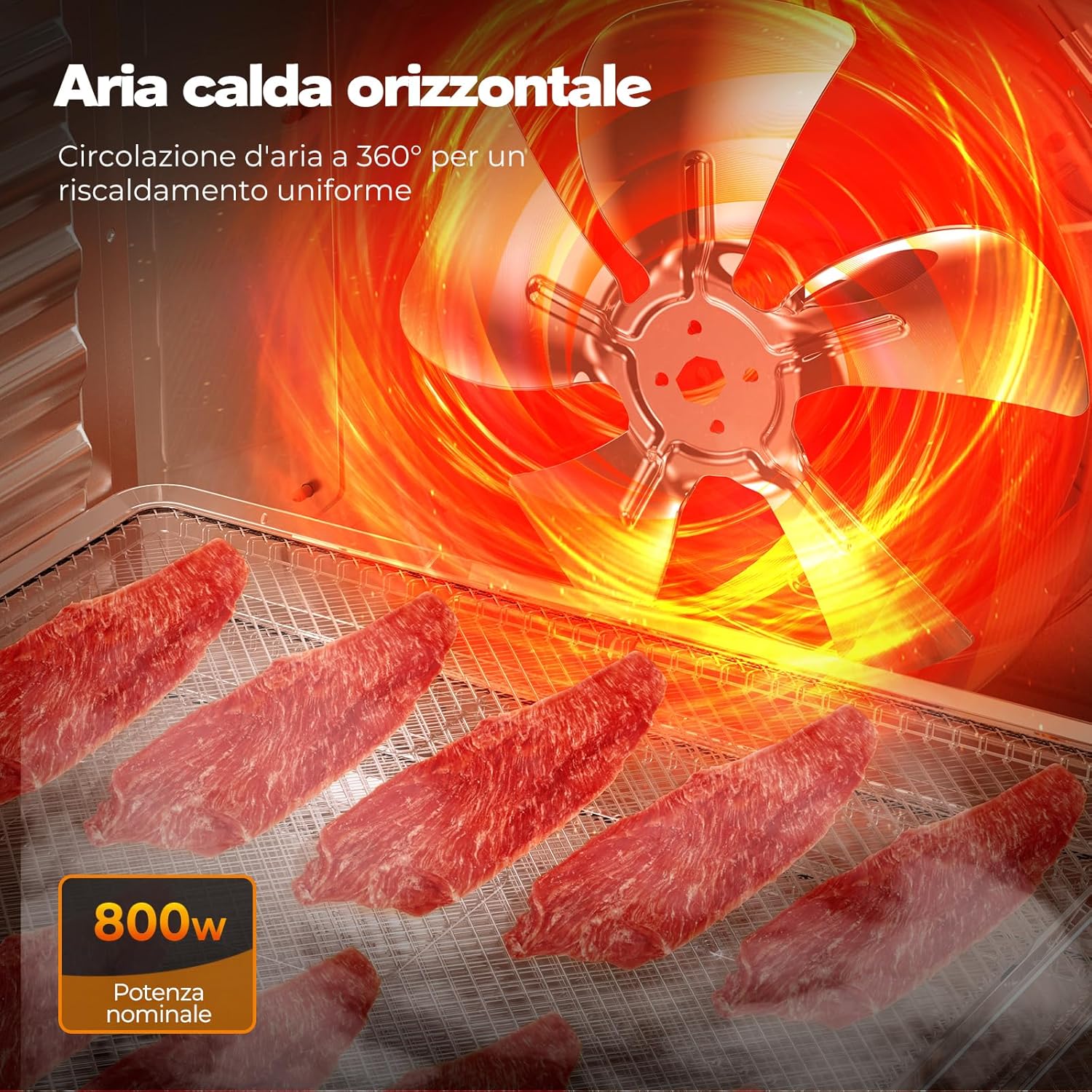 Yashe Essiccatore Alimentare 800W con Display LED - immagine 2