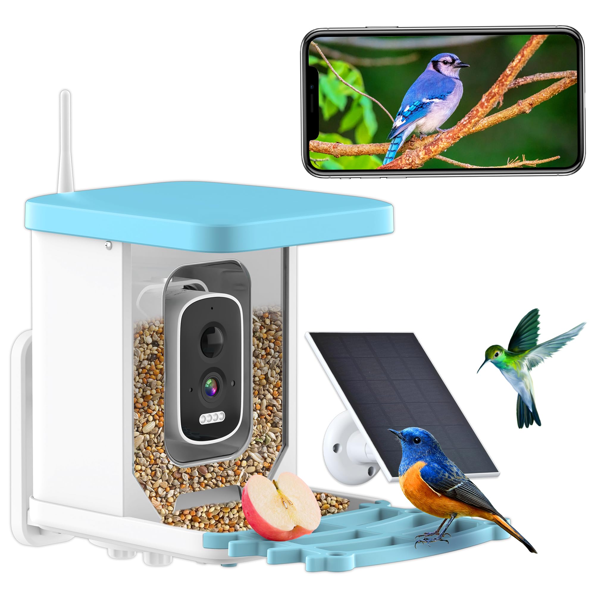 Antela Mangiatoia Uccelli Intelligente con Telecamera 4MP HD