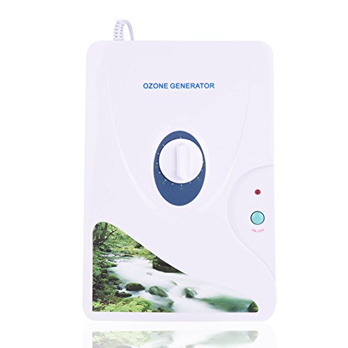 Generatore di Ozono 600mg/h Purificatore Acqua e Aria