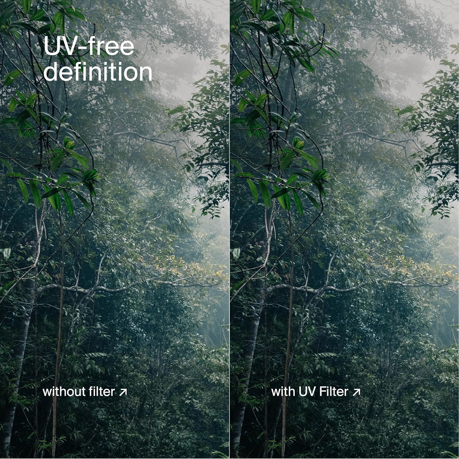 Urth - Filtro UV per obiettivi 95 mm - immagine 6