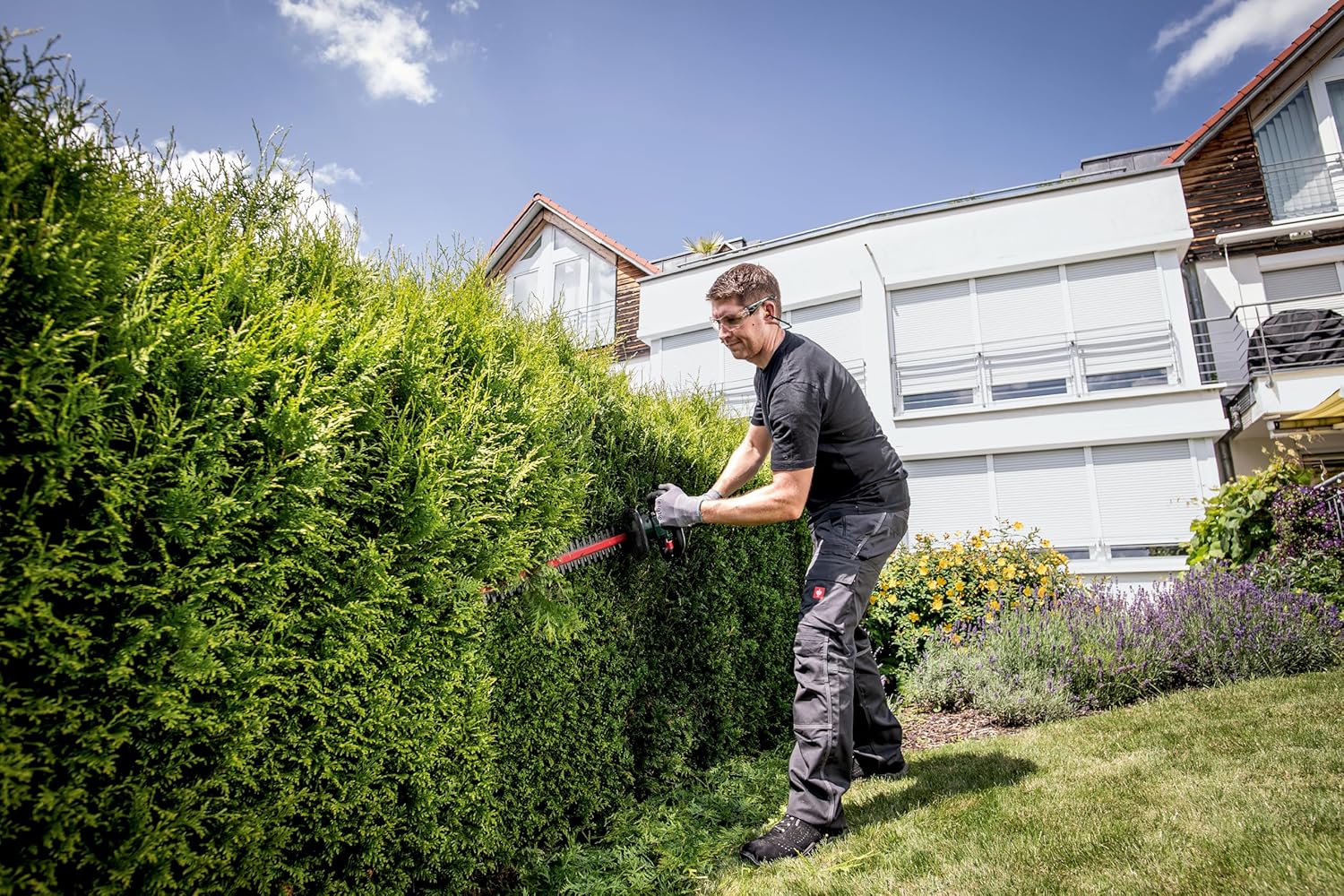 HS 18 LTX 65 (601719850) Cortasetos de batería - immagine 4