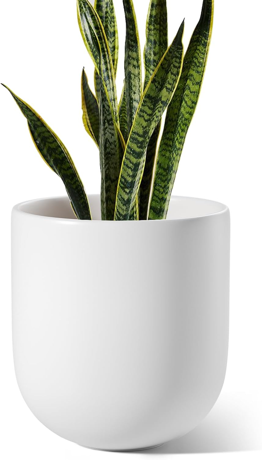 LE TAUCI Vaso in Ceramica per Piante da Interno 25 cm, Bianco