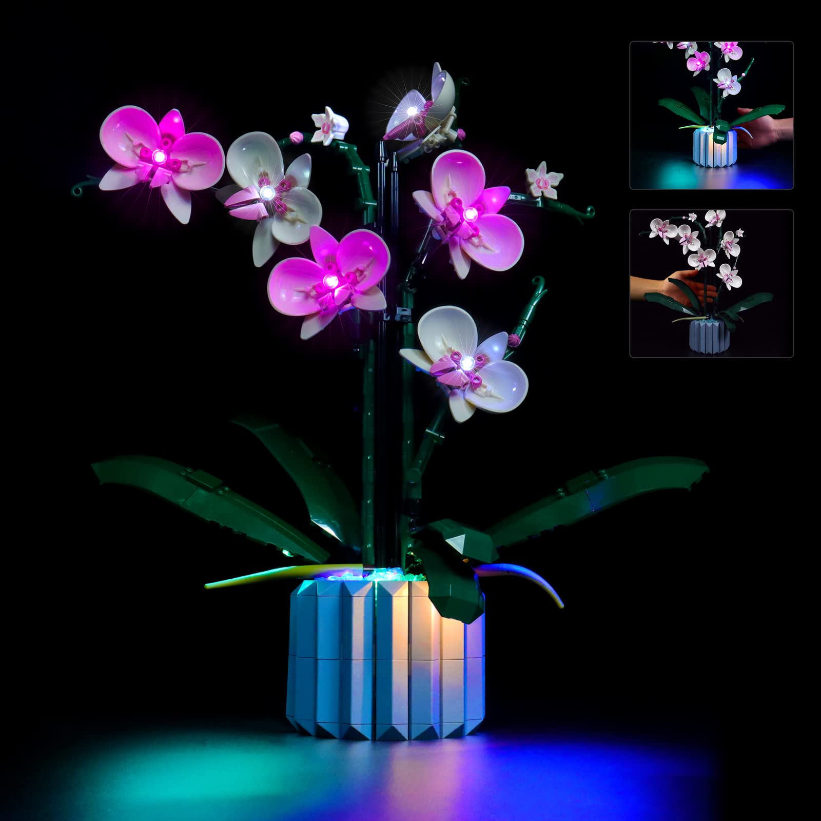 10311 Orchidee Light Control Version