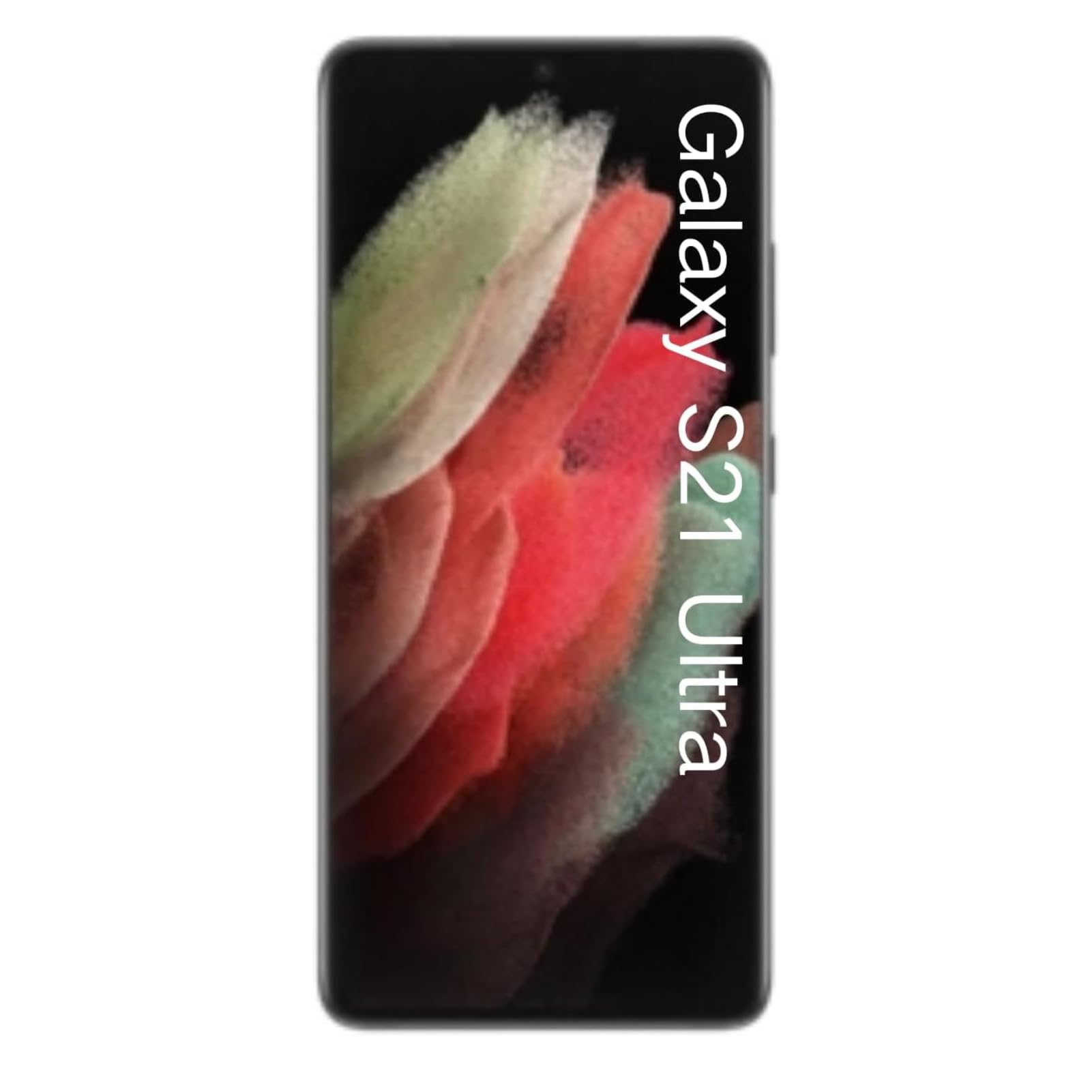 MENDUNER Sostituzione Schermo per S21 Ultra 5G