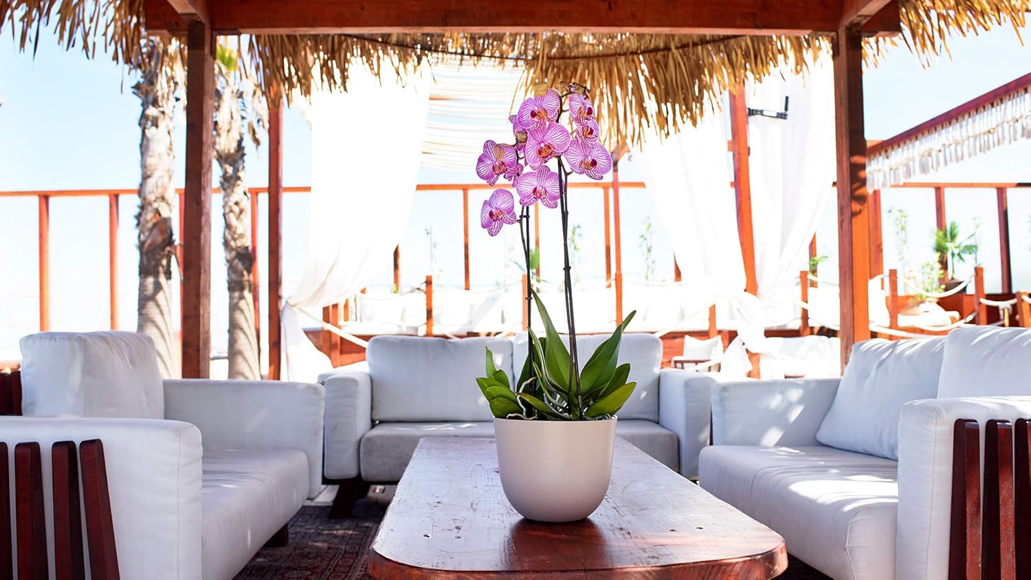 ARTEVASI Vaso Havana Natural 50 cm Argilla - immagine 2