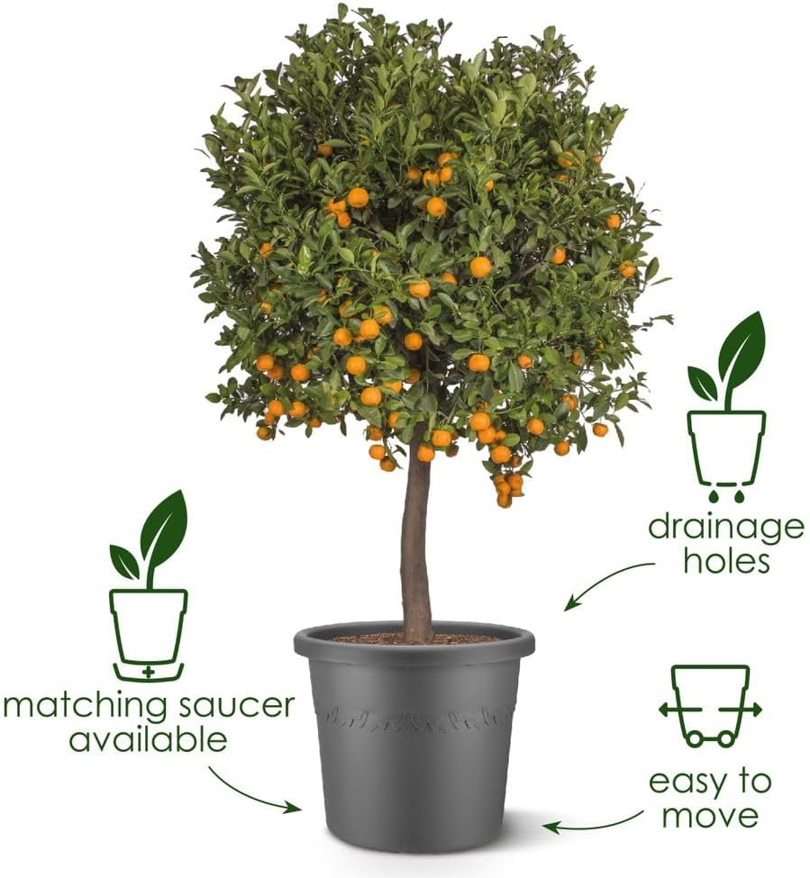 Elho Algarve Cilindro 58 - Vaso - Nero - Esterno - Ø 58 x H 48 cm - immagine 2