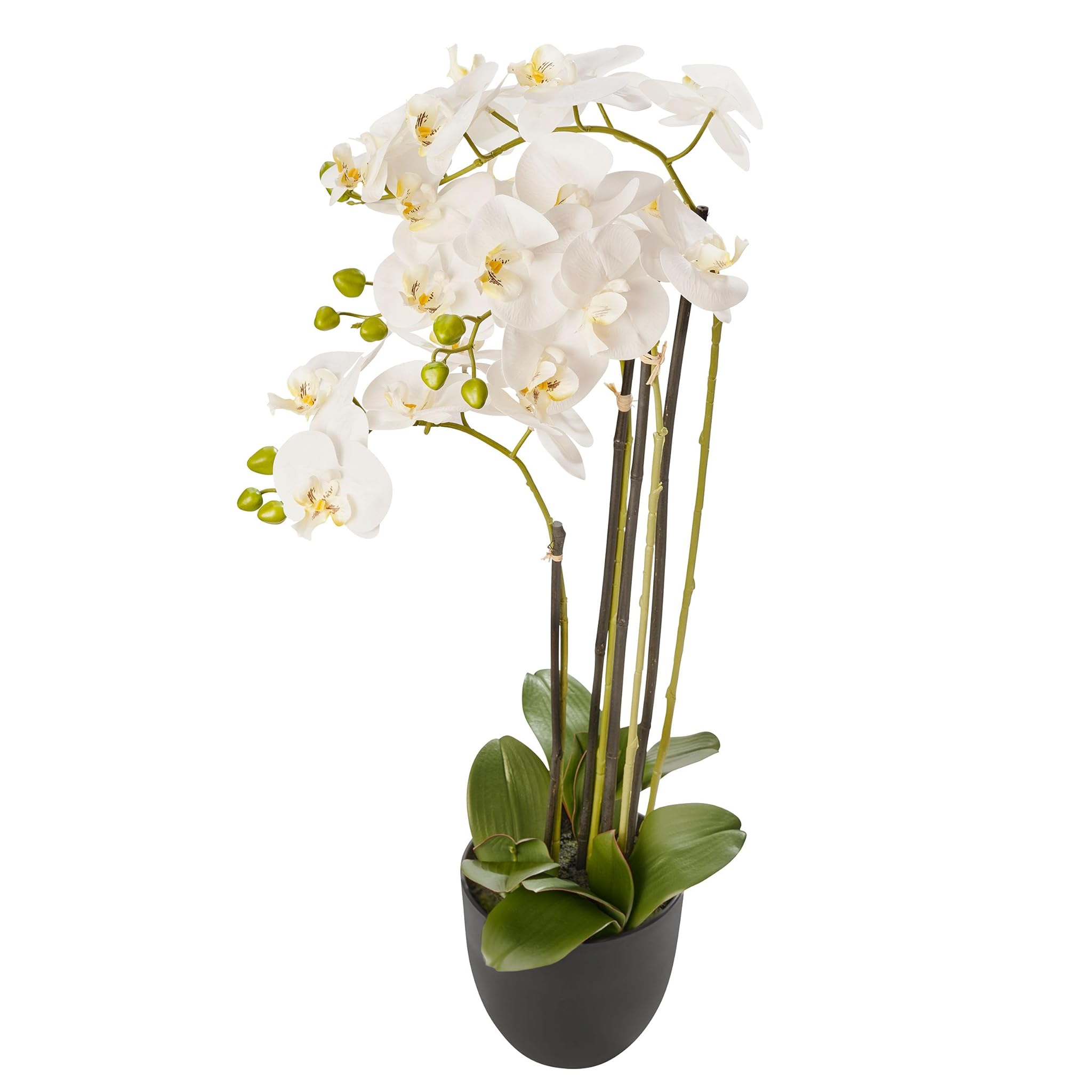 AMARE Phalenopsis - Vaso in resina, 83 cm, colore: Bianco