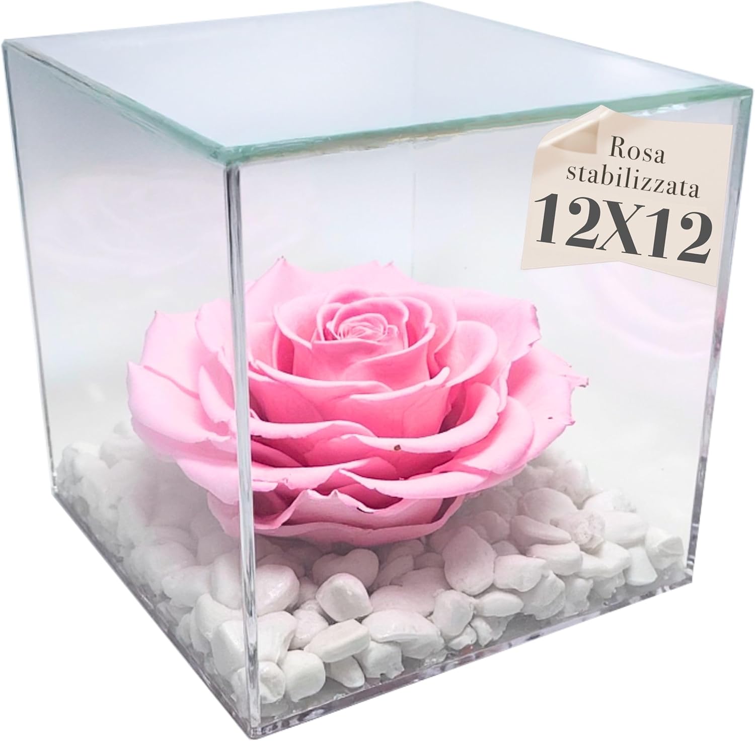 Premium Rose - Cubo Rosa Stabilizzata 12 cm - Rosa 1025