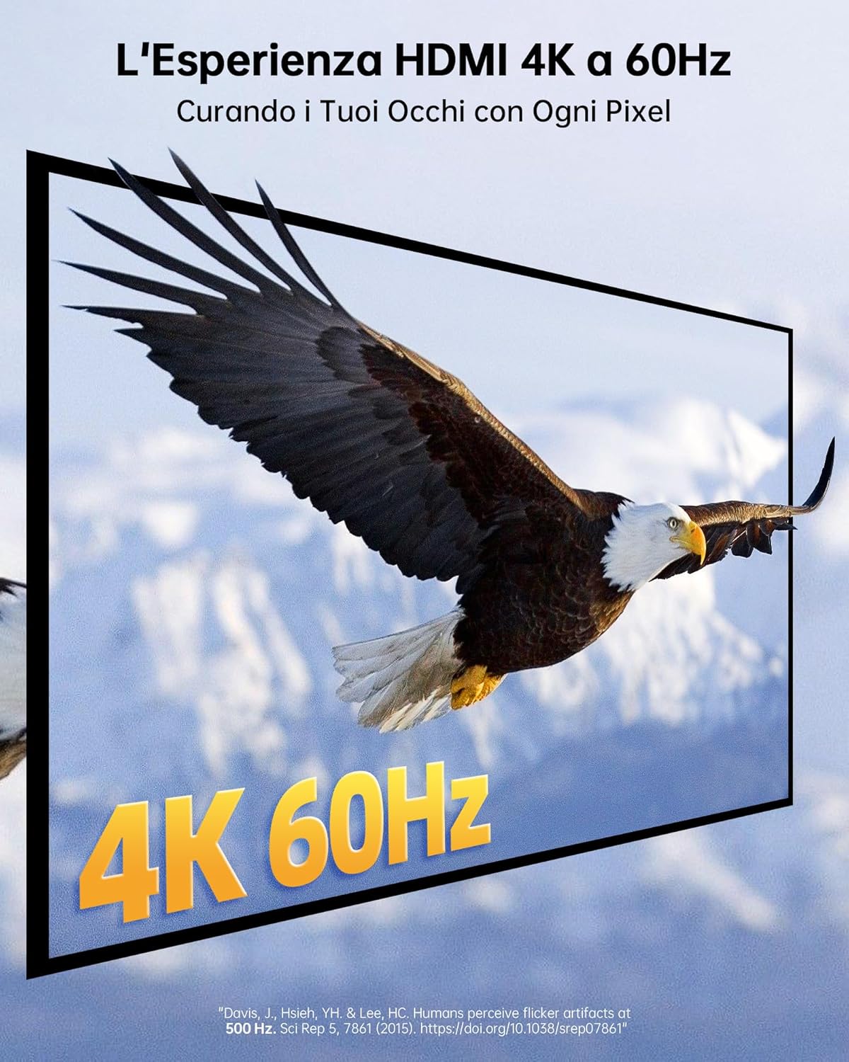 Novoo Docking Station USB-C 11 in 1 - immagine 3