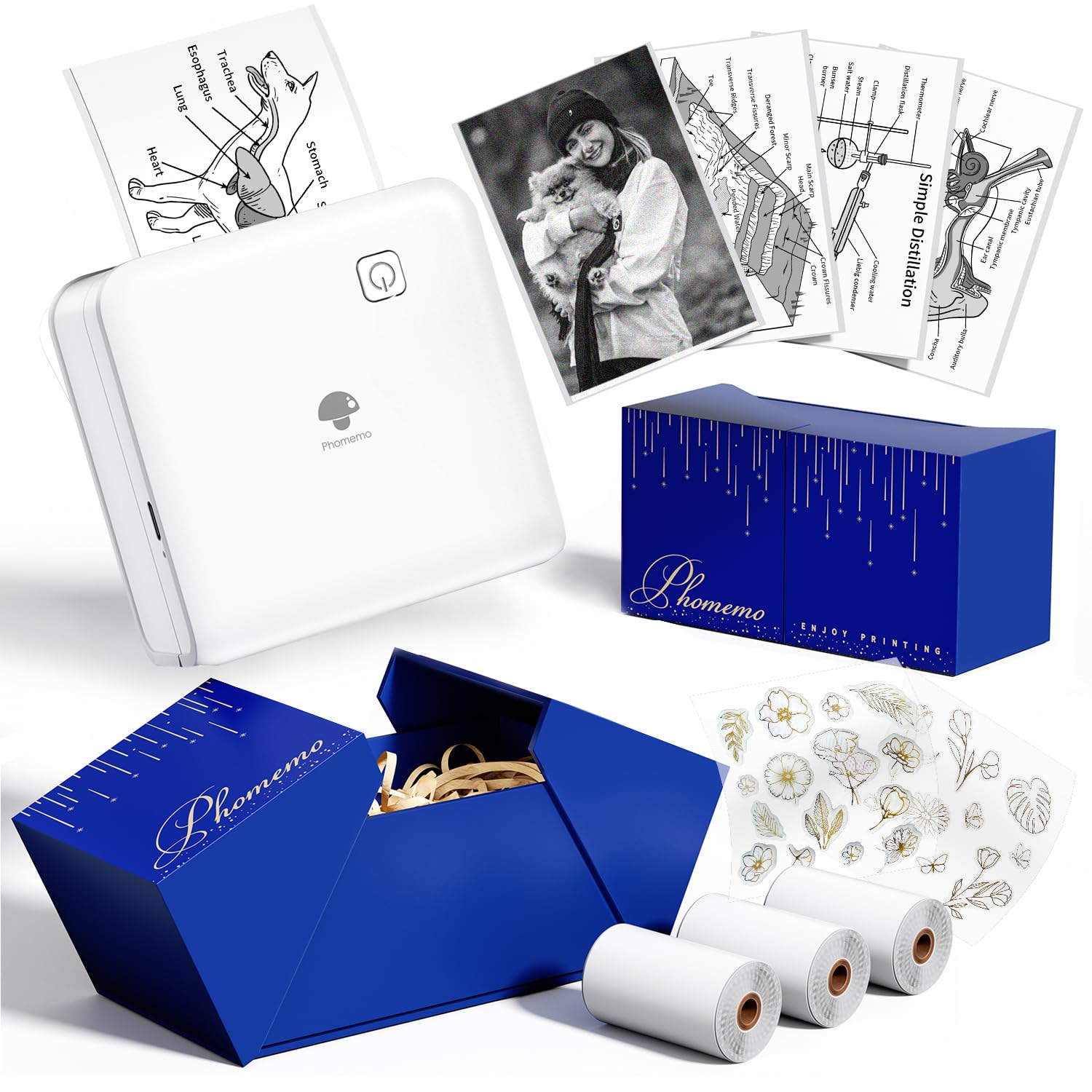 Phomemo P2S Stampante Termica Portatile 300 dpi