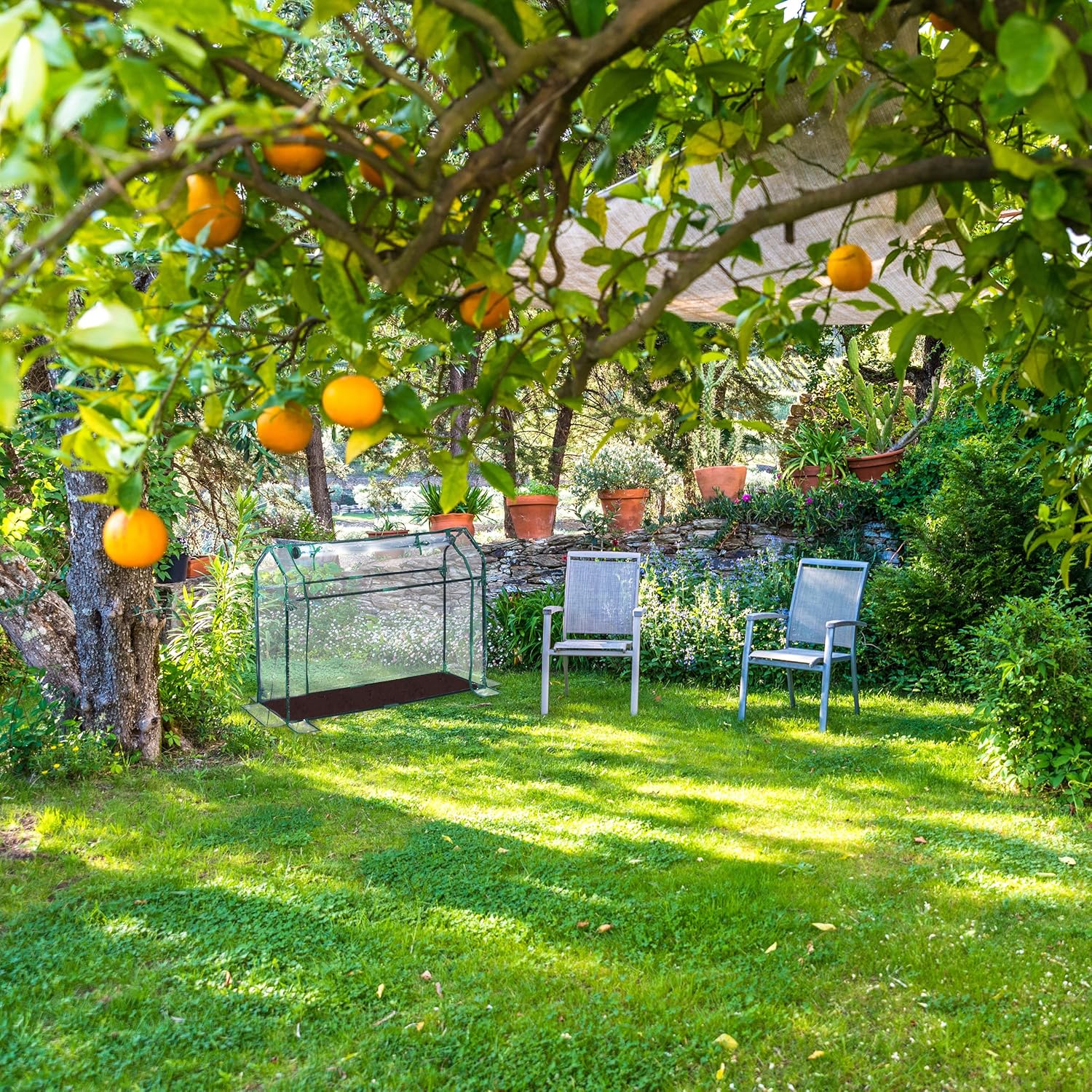 Relaxdays Serra per Orto 92x124x42cm, Trasparente - immagine 5