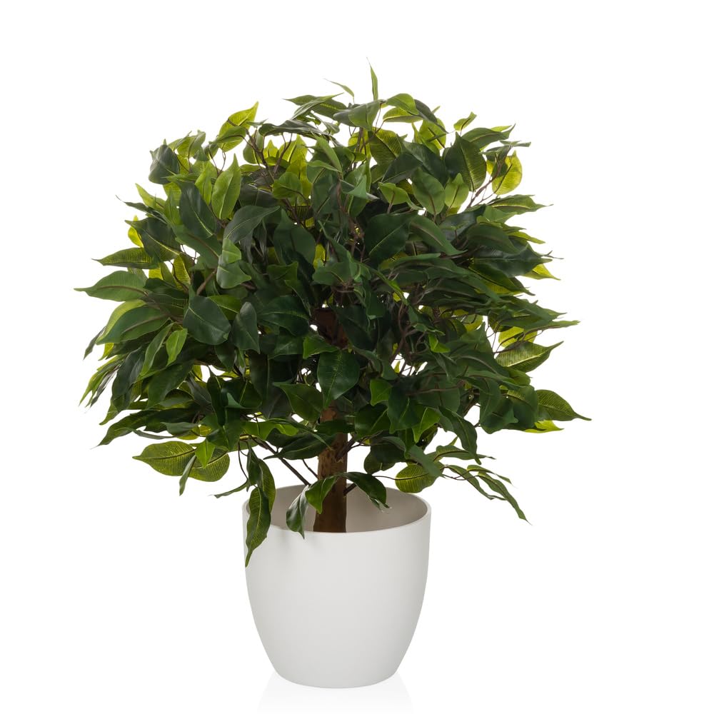 Hjh Office Pianta Artificiale FICUS II 65 cm