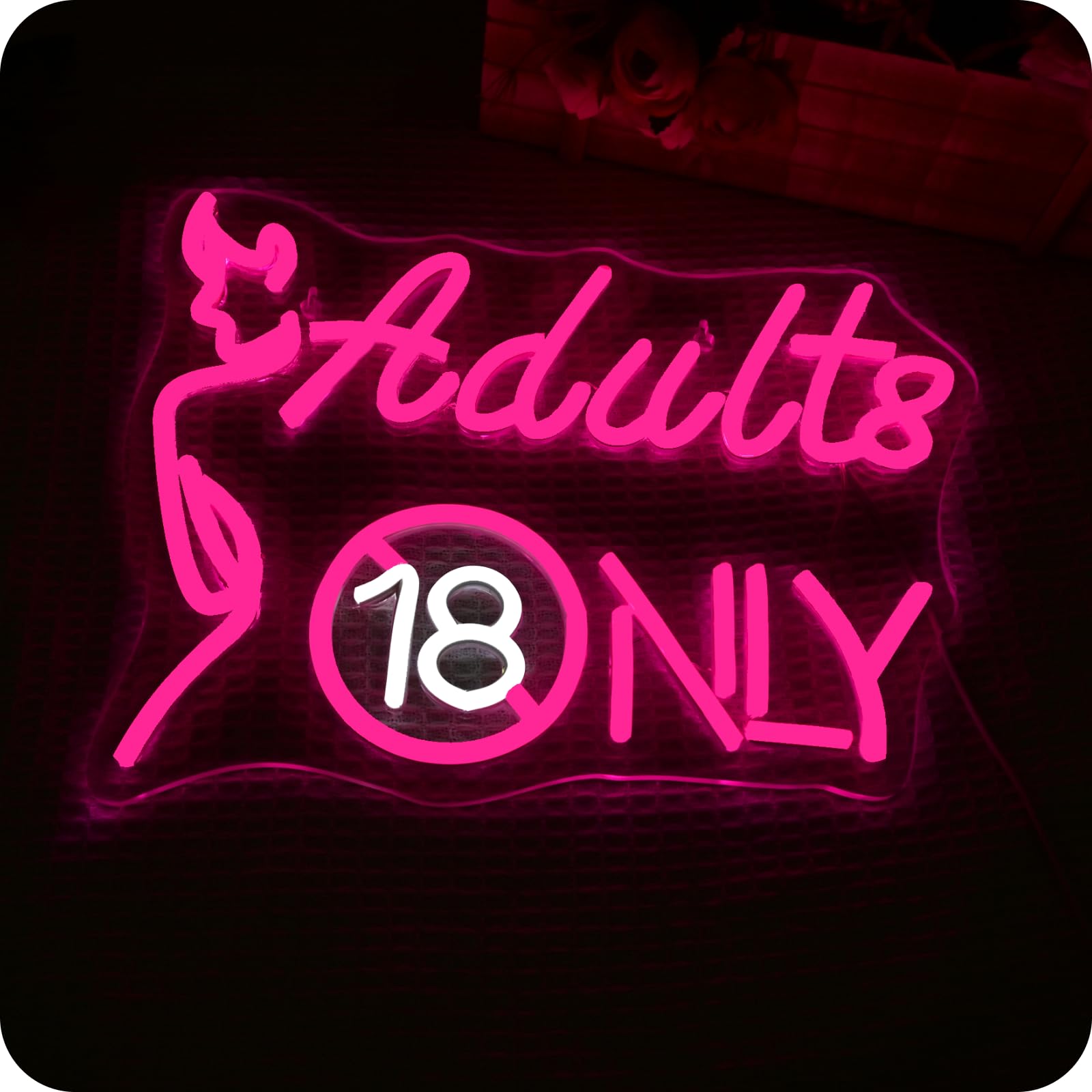 Wanxing Beauty Neon Targa LED dimmerabile, USB 5V/2A