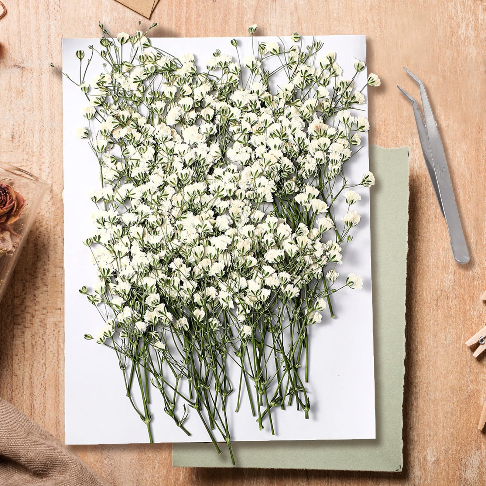 130 Pezzi Gypsophila Essiccata Bianchi per Decorazioni