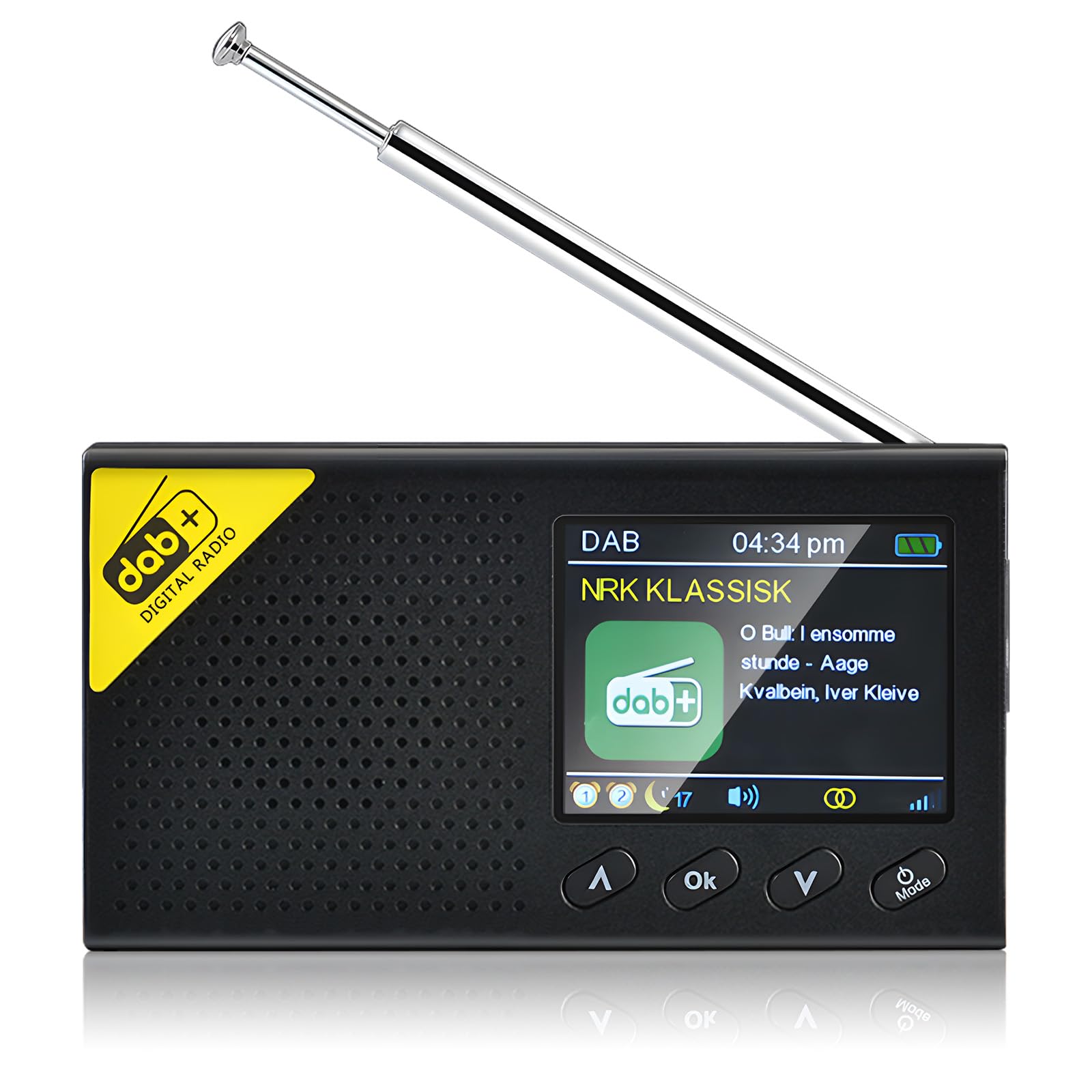 Hikity Radio Portatile DAB/DAB+/FM/AUX Ricaricabile