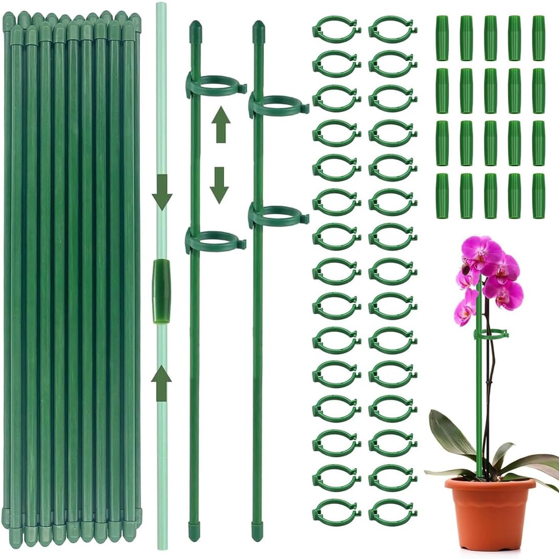 Supporti per Piante in Bambù 30cm - 20 Pezzi - immagine 1