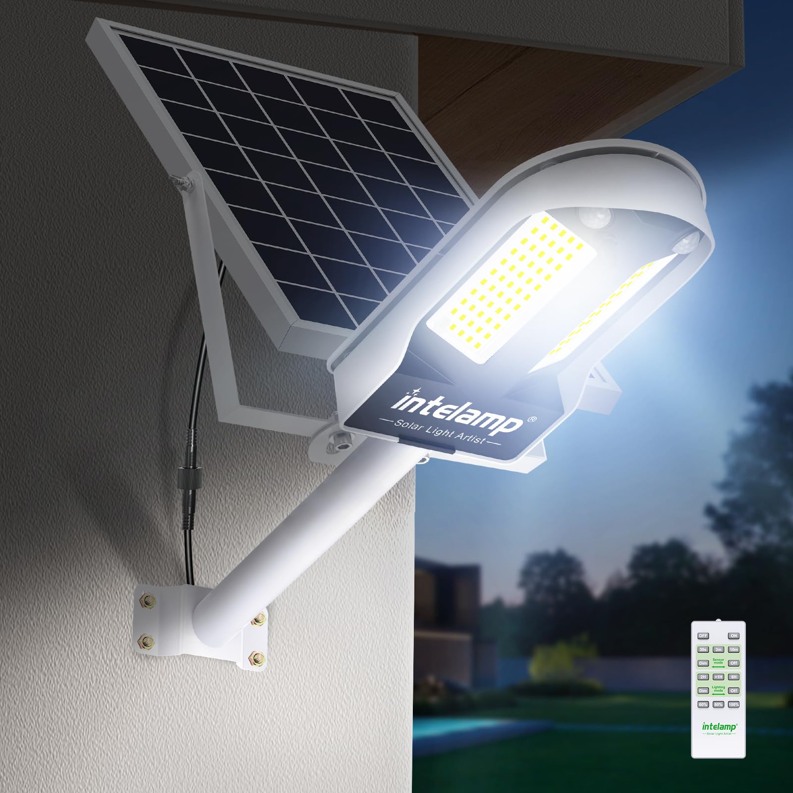 Intelamp Lampione Solare LED Esterno 12500mAh 3000LM