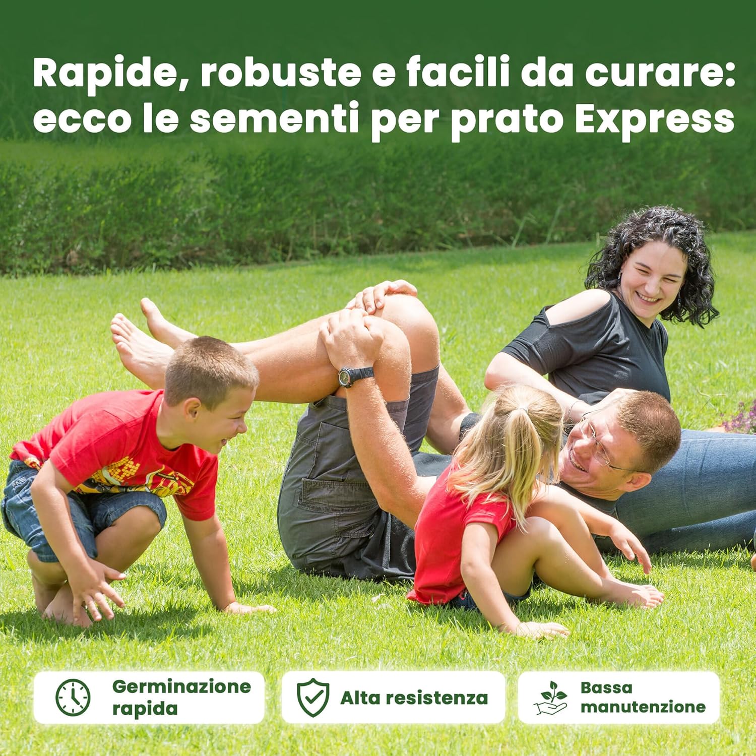 Lerava® EXPRESS Semi Prato Crescita Rapida 300m² - immagine 2