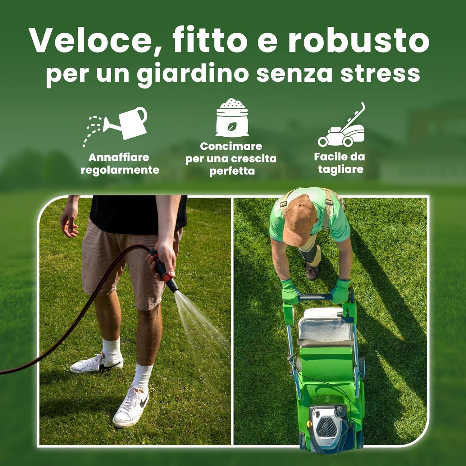 Lerava® EXPRESS Semi Prato Crescita Rapida 300m² - immagine 4