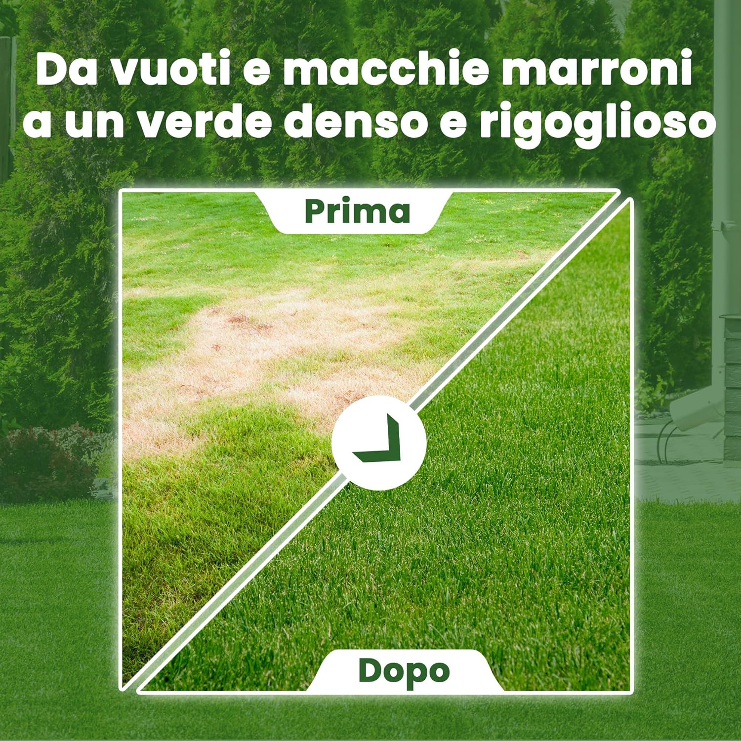 Lerava® EXPRESS Semi Prato Crescita Rapida 300m² - immagine 6