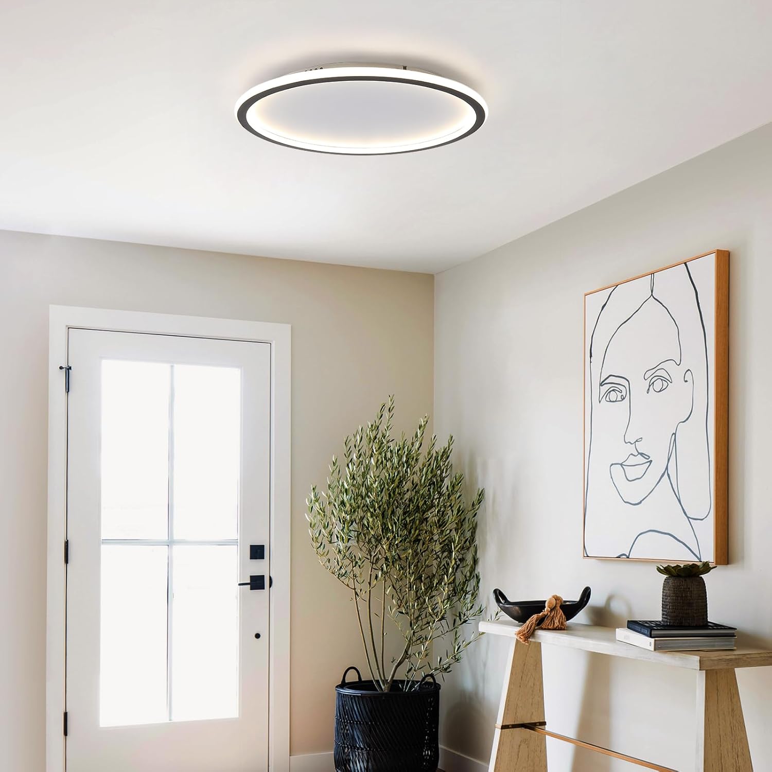 Schindora Plafoniera LED Soffitto Dimmerabile 20W - immagine 5