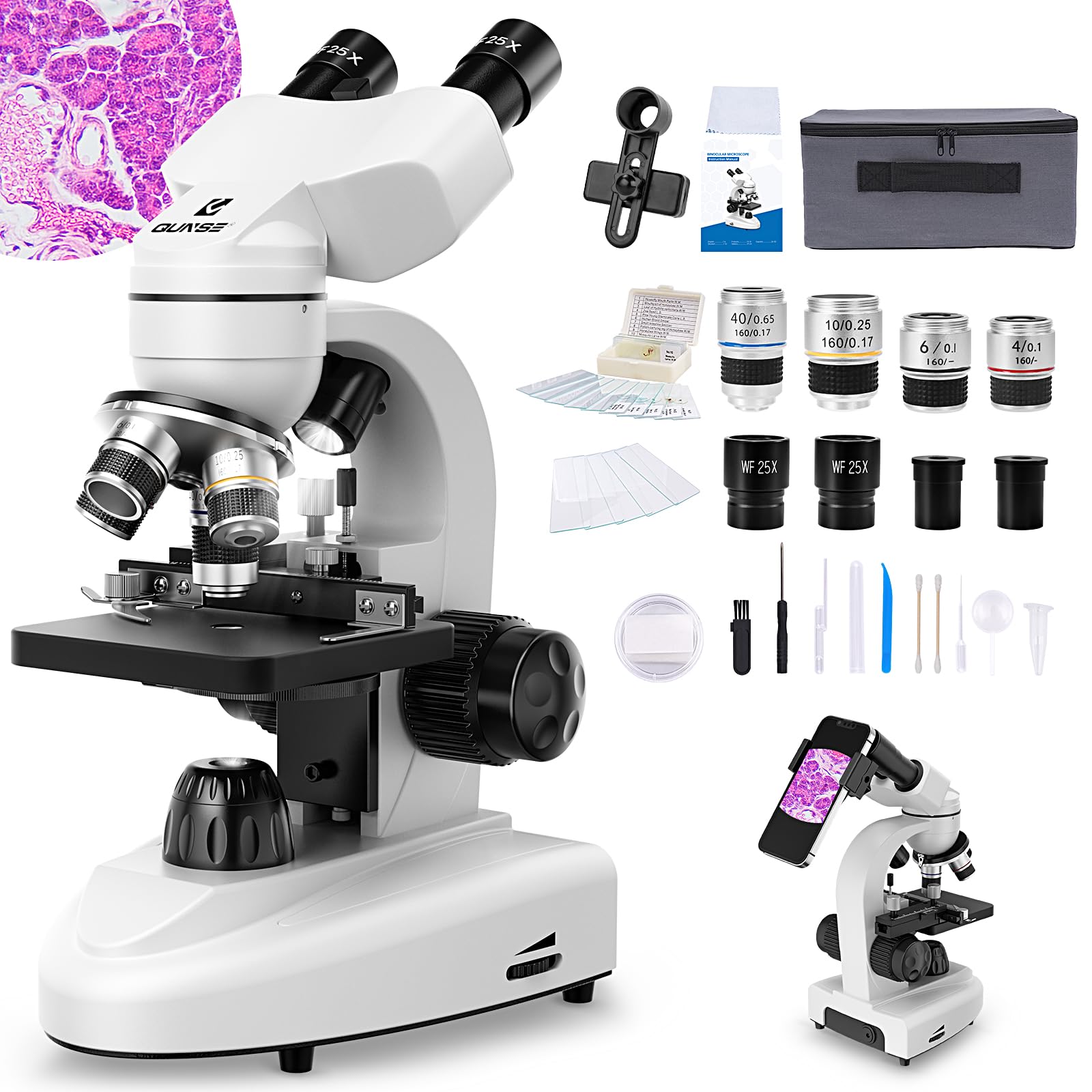 Microscopio Binoculare 40X-1000X con Oculari WF 10X/25X