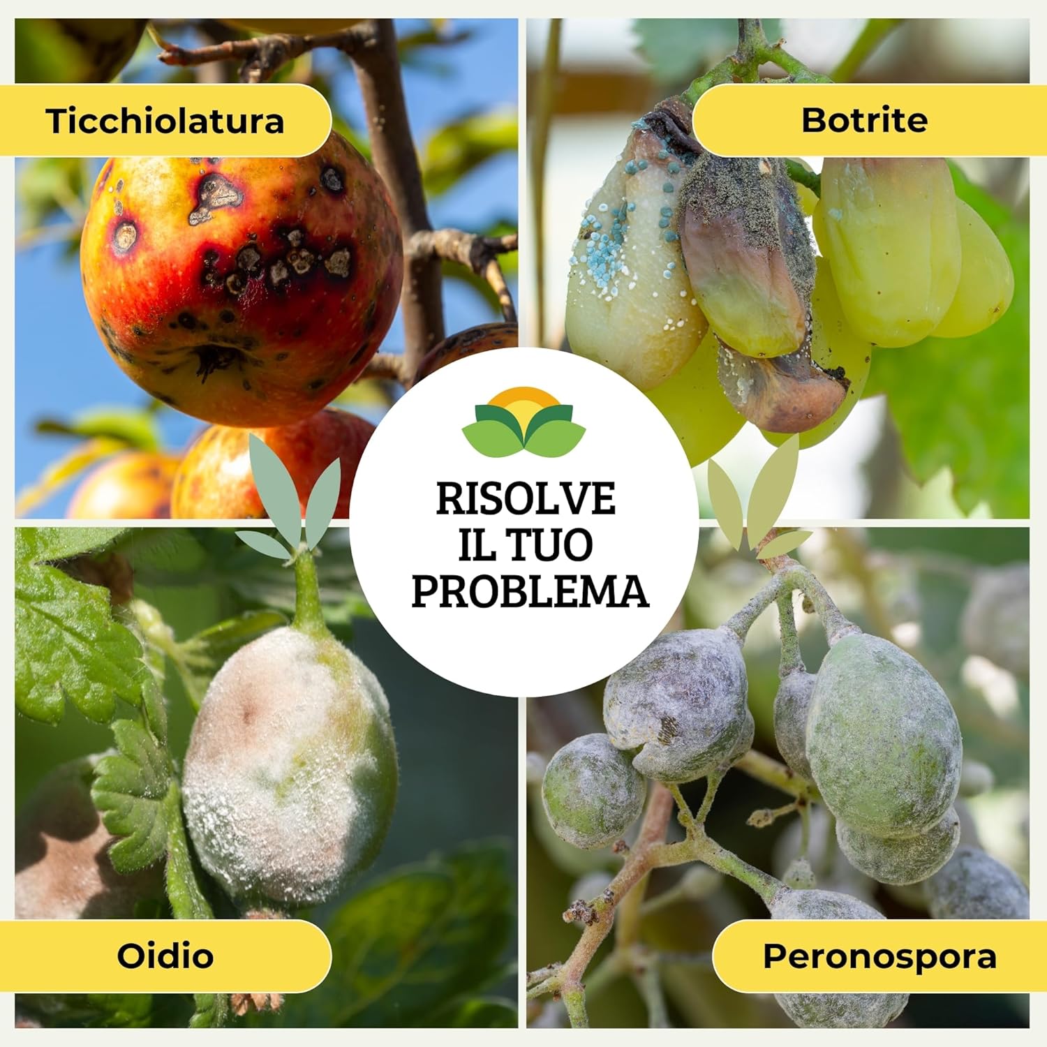 Albagarden Sodio Idrogenocarbonato 500gr - immagine 4