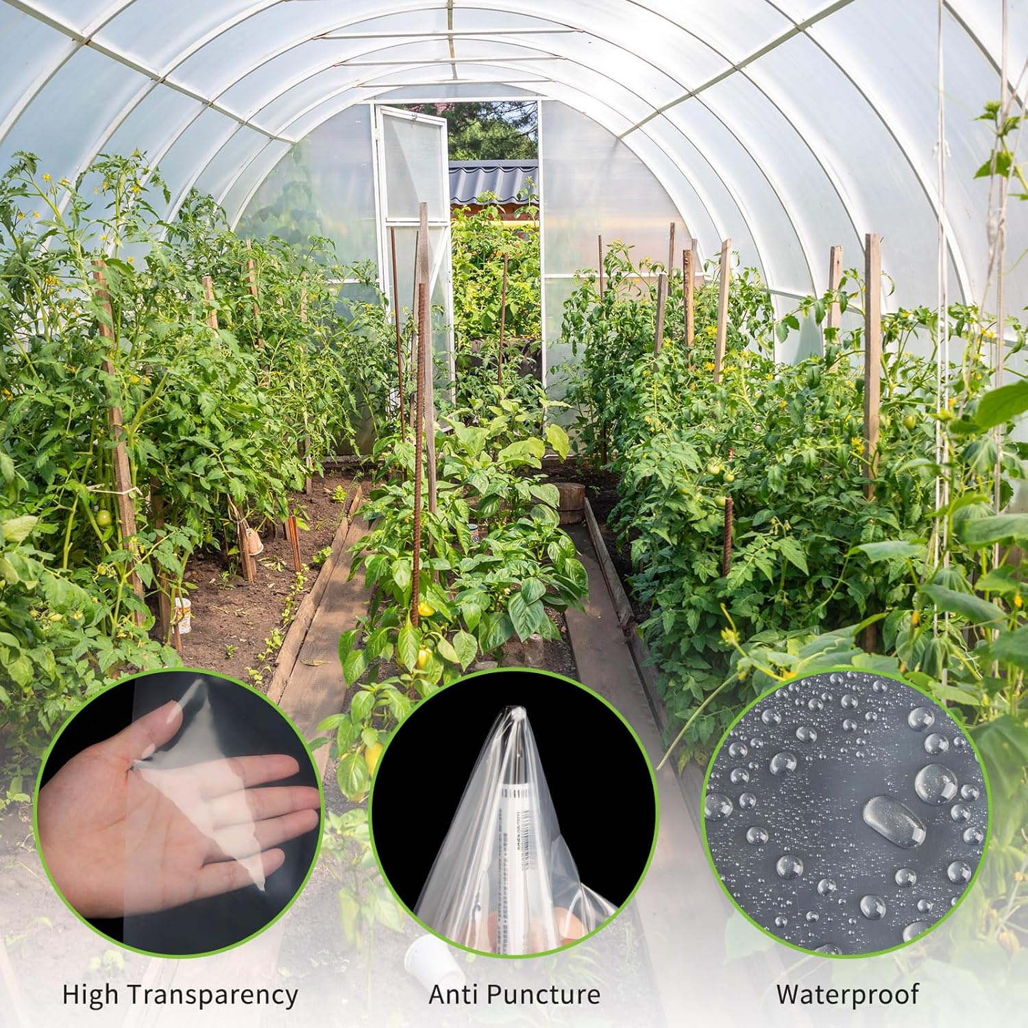 Telo in Polietilene Trasparente 3M x 15M - immagine 3