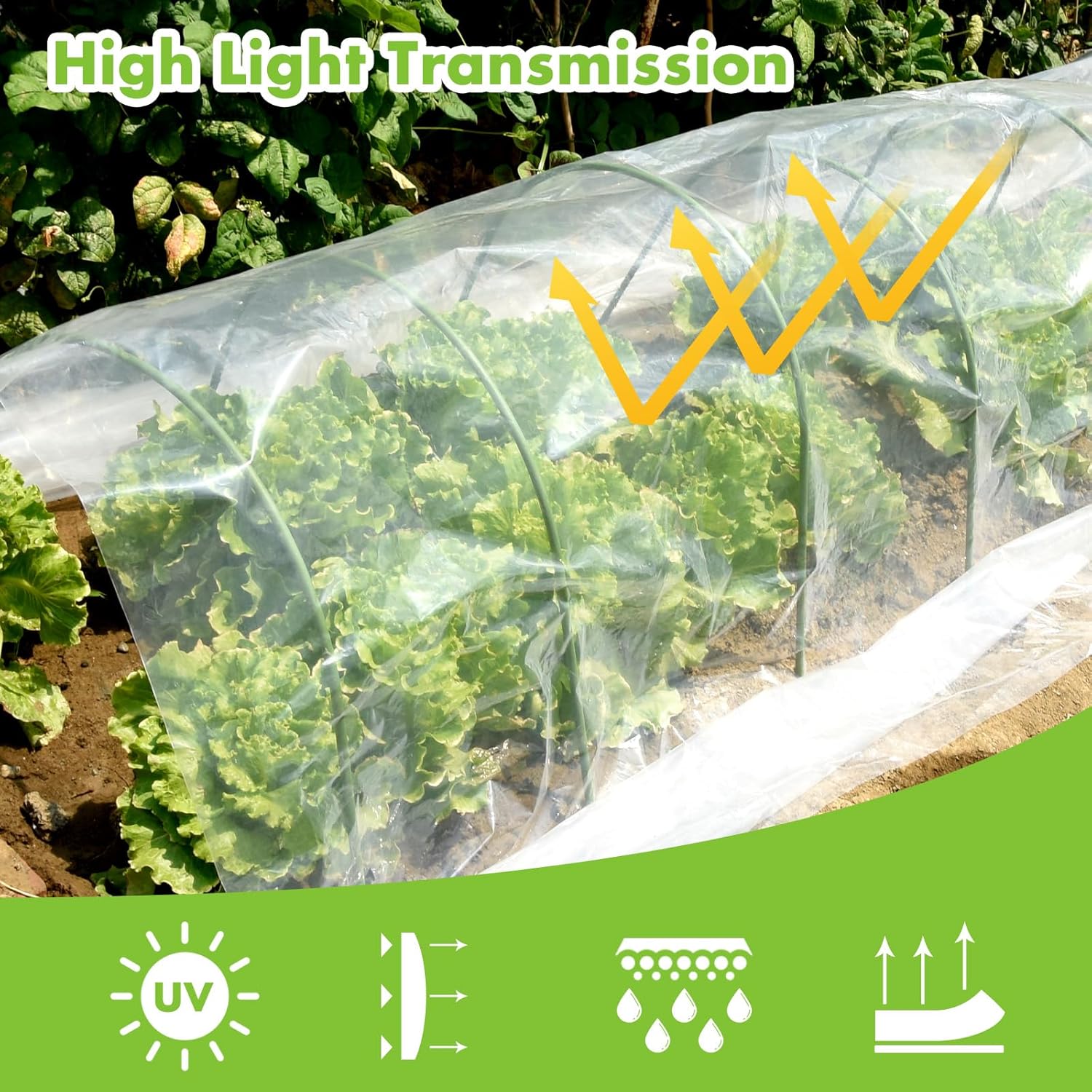 Telo in Polietilene Trasparente 3M x 15M - immagine 4