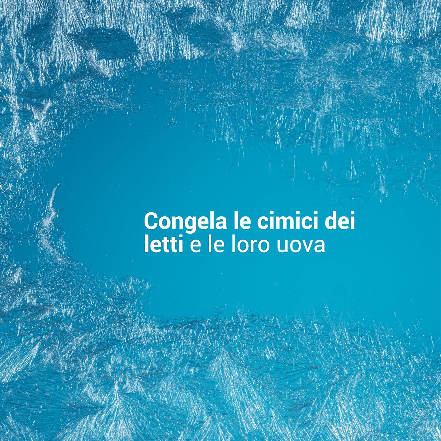 FREEZE CIMICI DA LETTO - Trattamento Naturale Fulminante - immagine 3