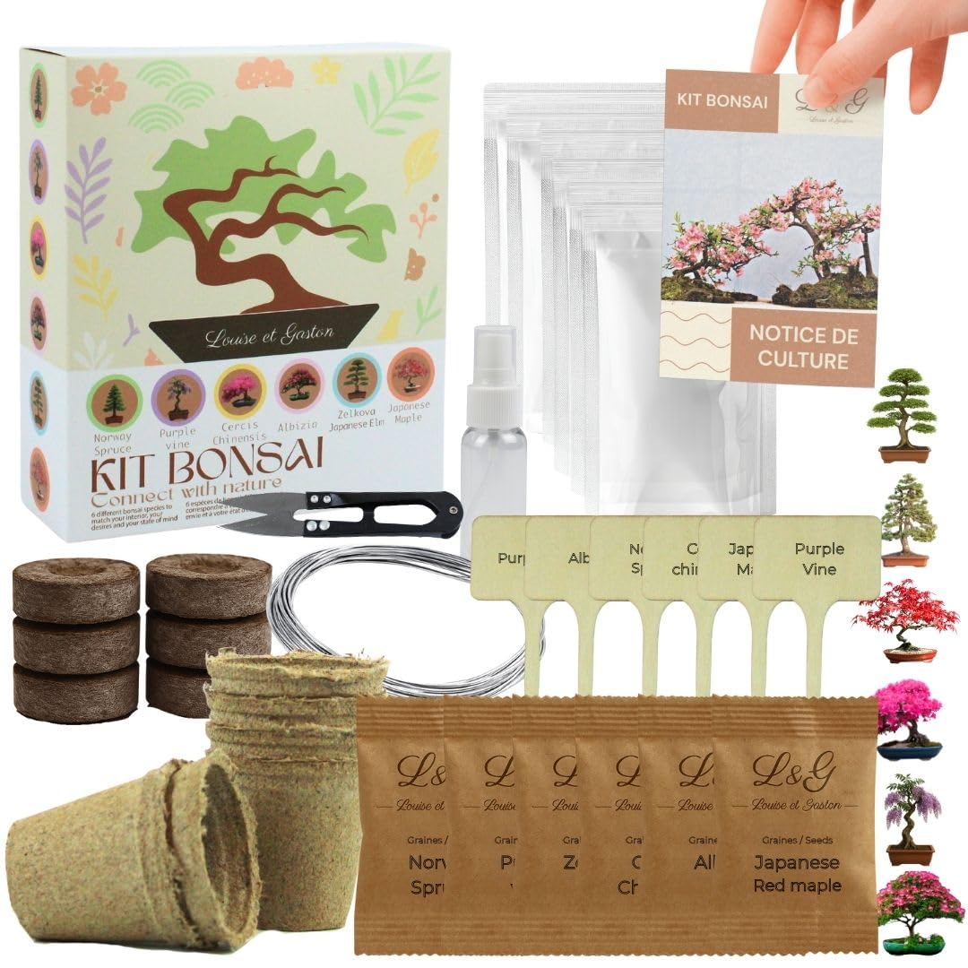 L&G Bonsai - Kit di Coltivazione per Interni